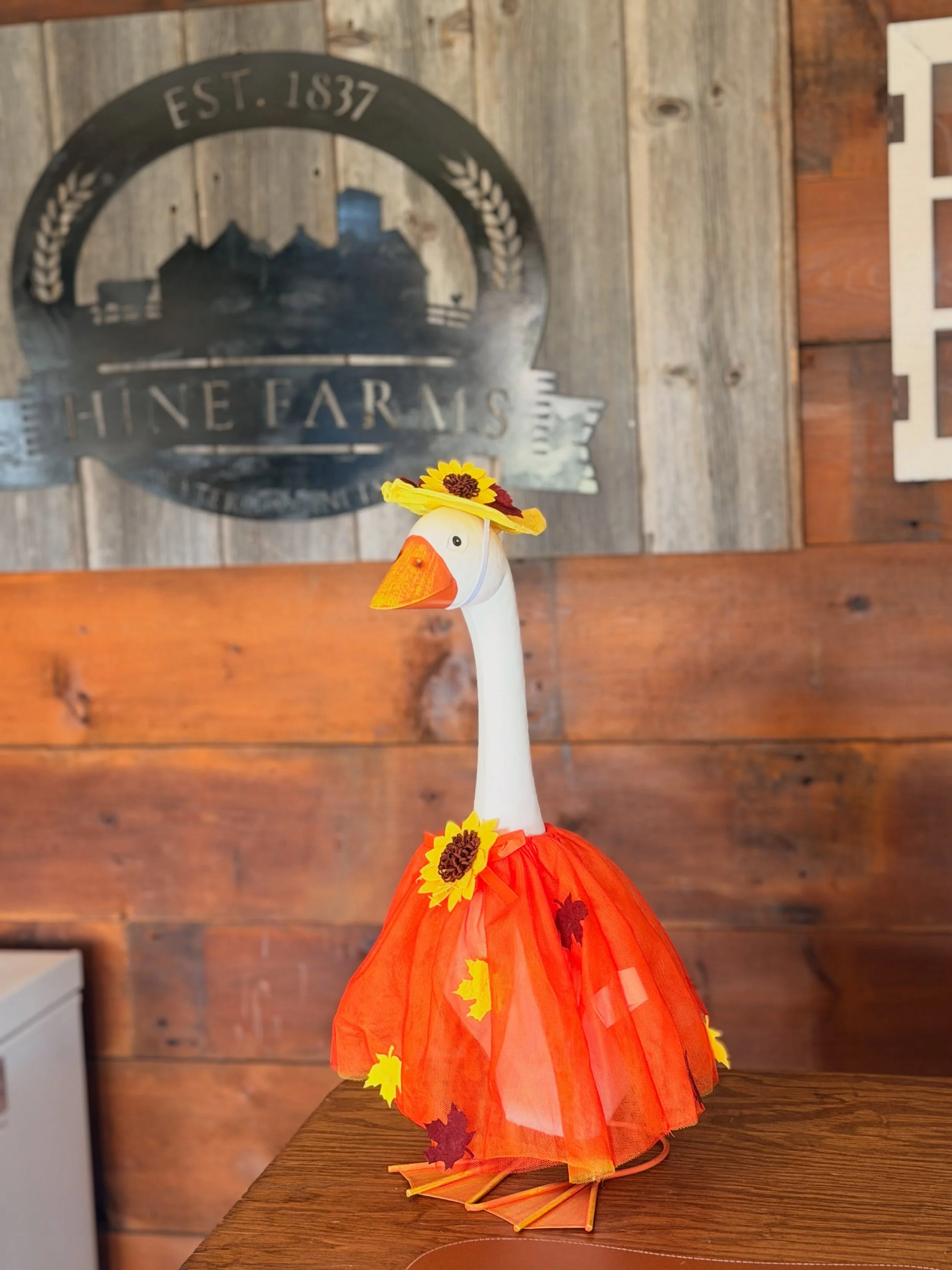Meet our new goose&hellip;she really needs a name, so we&rsquo;d like your help!

Her only job is to bring a smile to our customers faces as she greets them at The Farm Store door ☺️

We&rsquo;d love it if you&rsquo;d drop your name suggestions in th