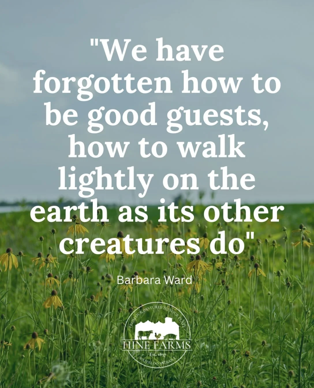 I just love the sentiment of this quote and the care it makes me feel for the earth under my feet&hellip;perhaps I&rsquo;ll always be a bit smitten with this giant spinning rock 🥰