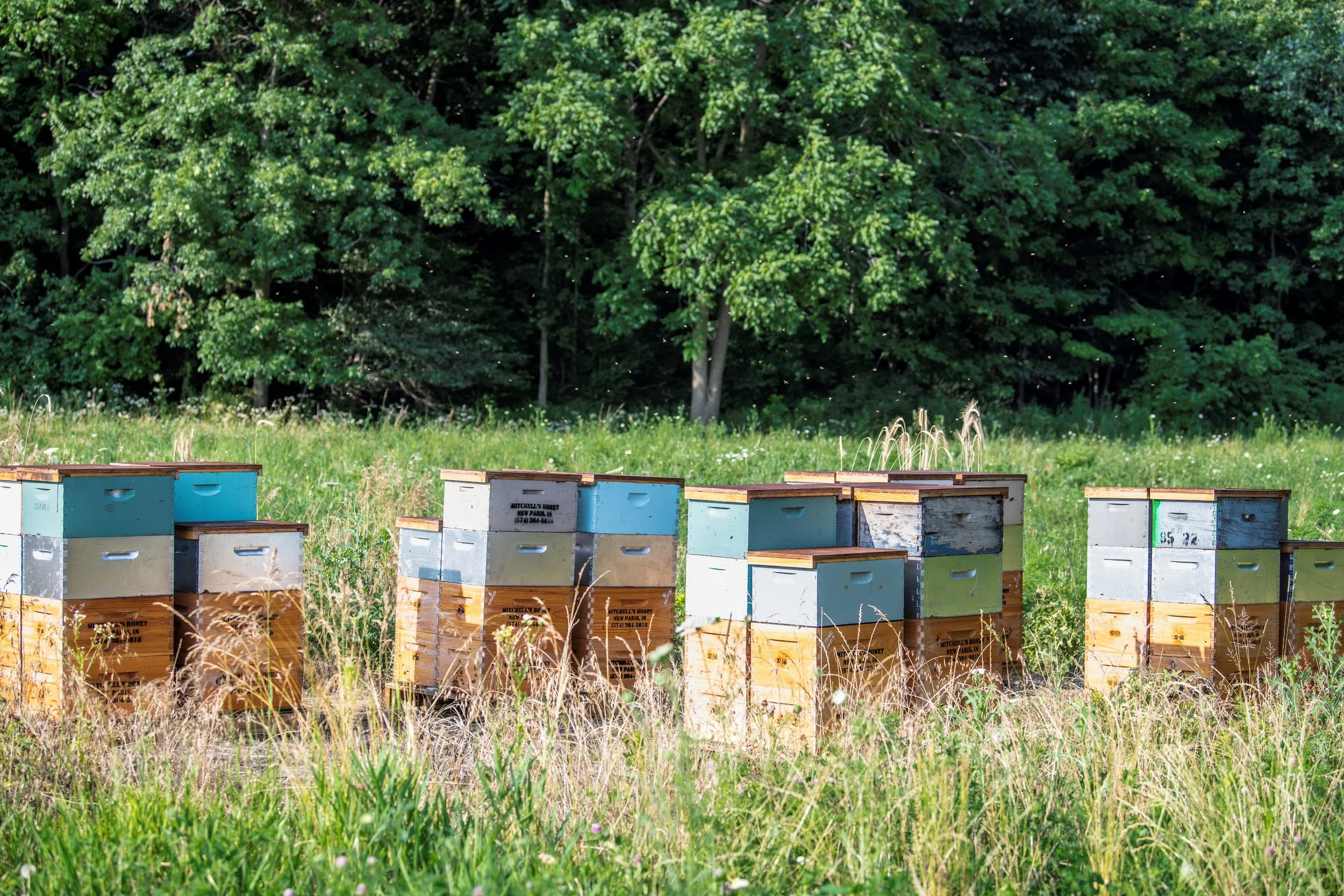 Bee hives on our farm.