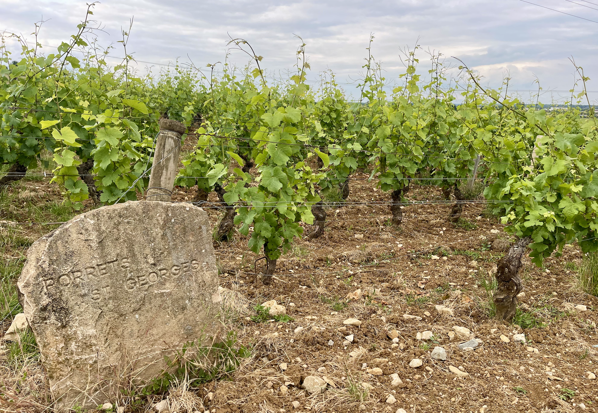The North & South of Nuits-Saint-Georges