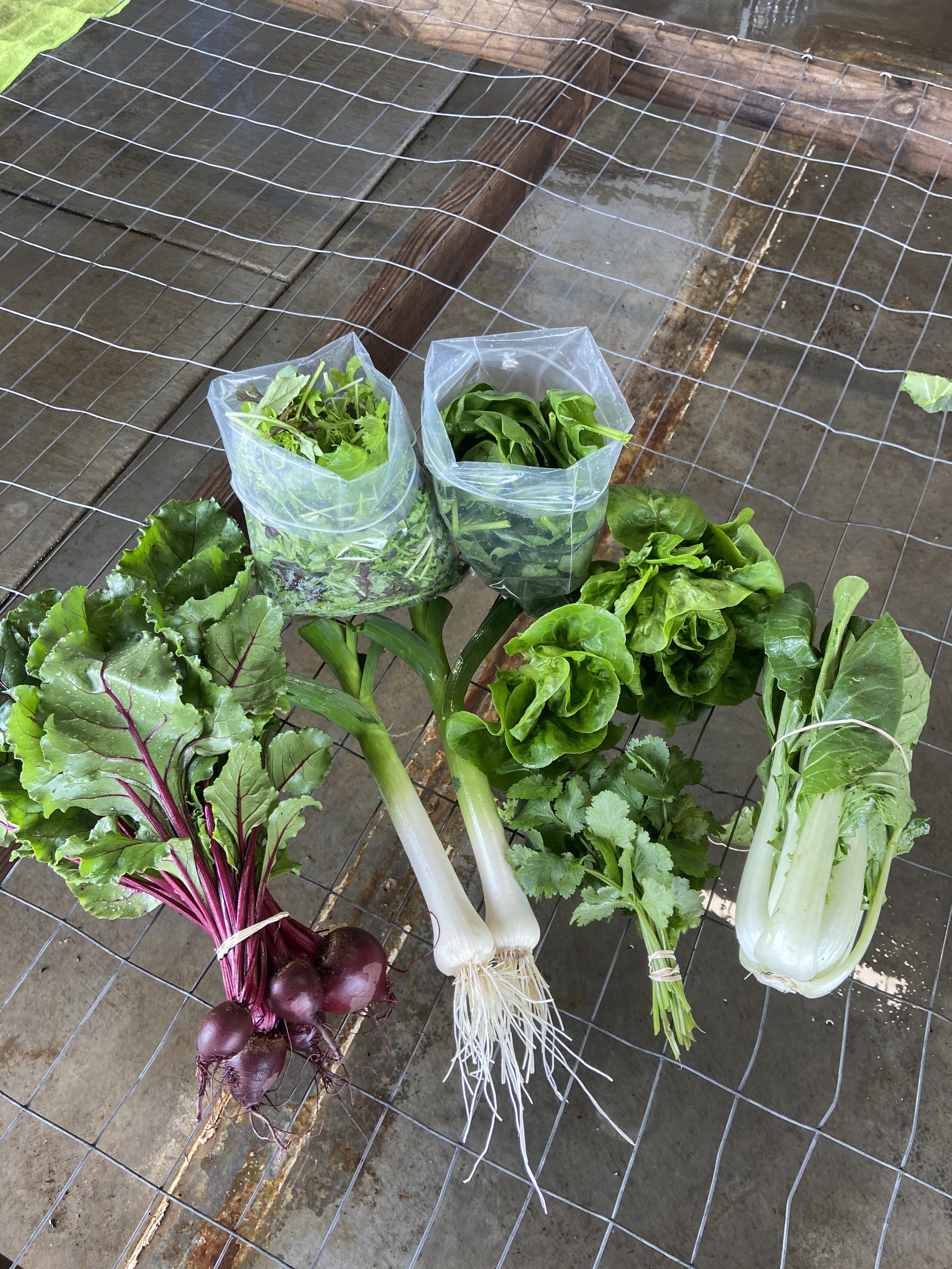 2026 Full Swing Farm Share (Spring/Summer)