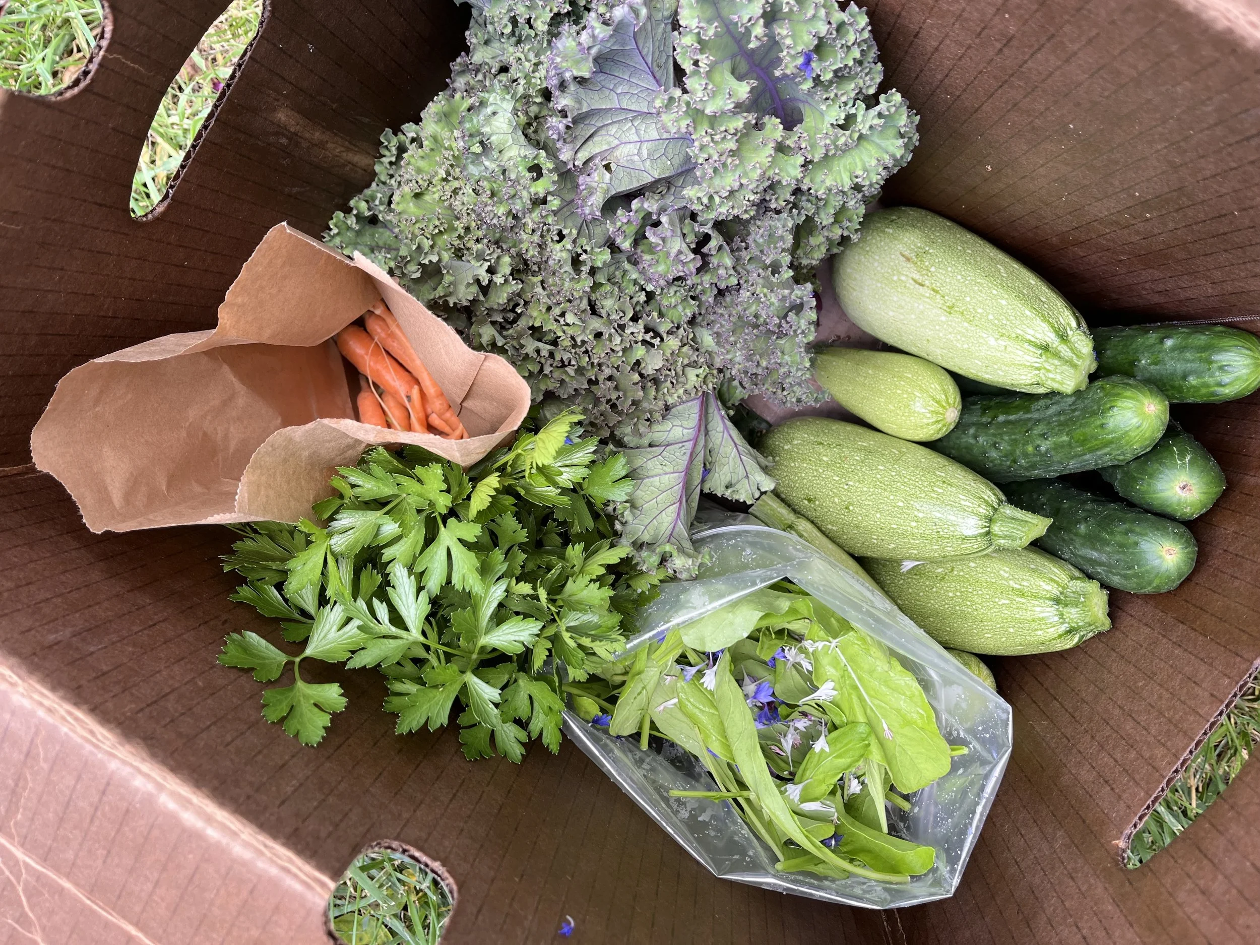 Bundle and Save! Spring and Fall Farm Share (15% discount)