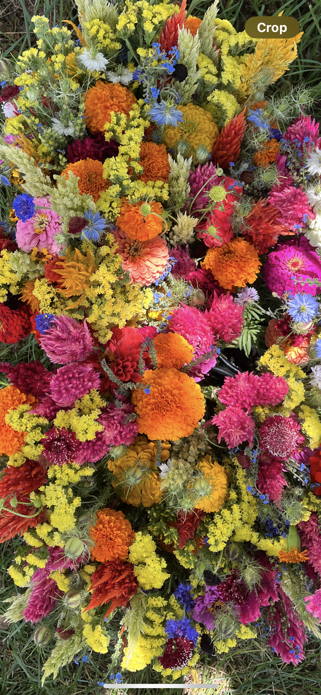 Full Swing Farm 2026 Flower Share