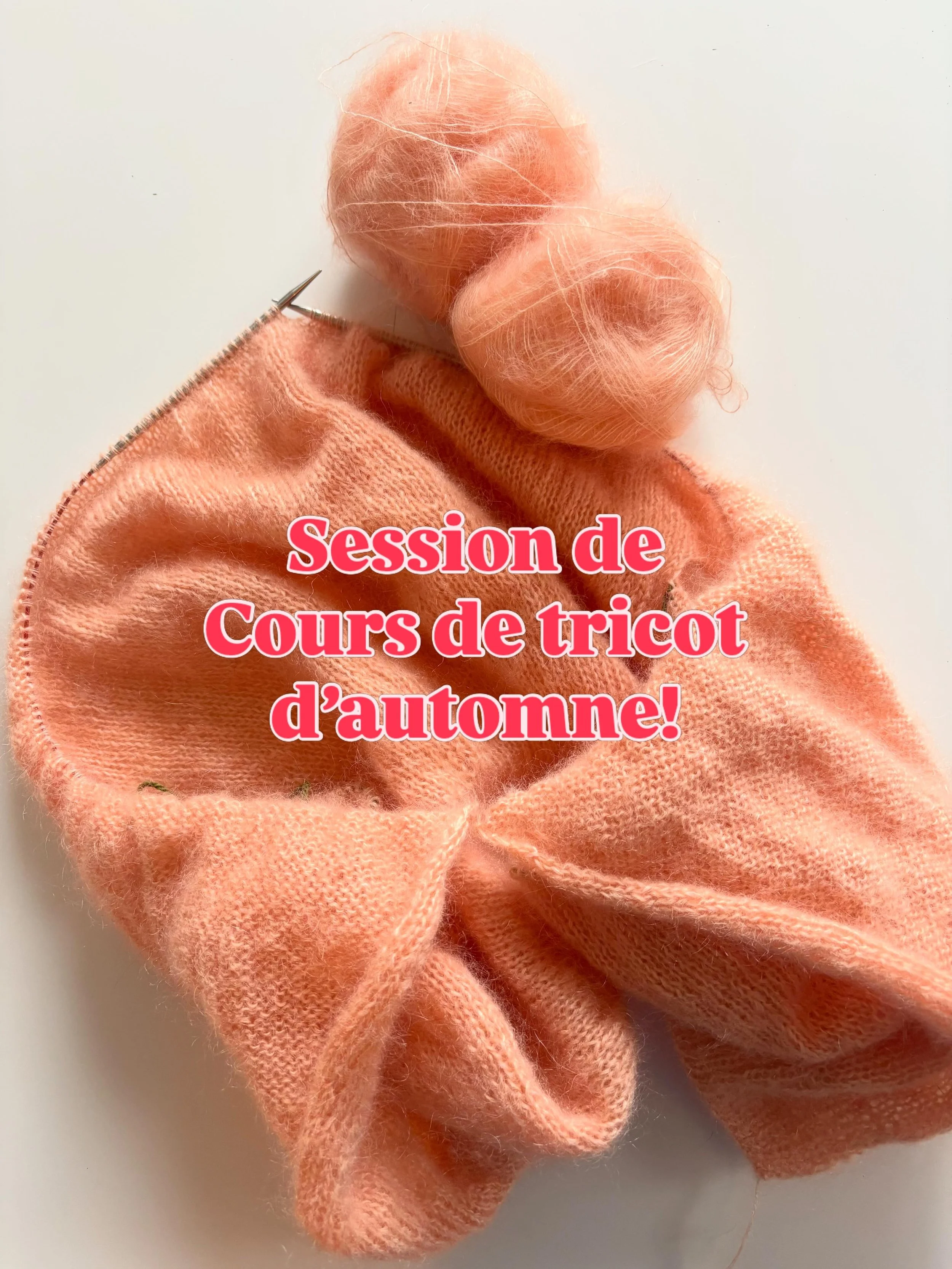 La revoici, la revoil&agrave;! 
La session de cours de tricot de l&rsquo;automne!

Ce cours s&rsquo;adresse &agrave; tout les niveaux confondus! 
Que vous ayez envie d&rsquo;apprendre les bases du tricot ou approfondir vos connaissances actuelles!
Le