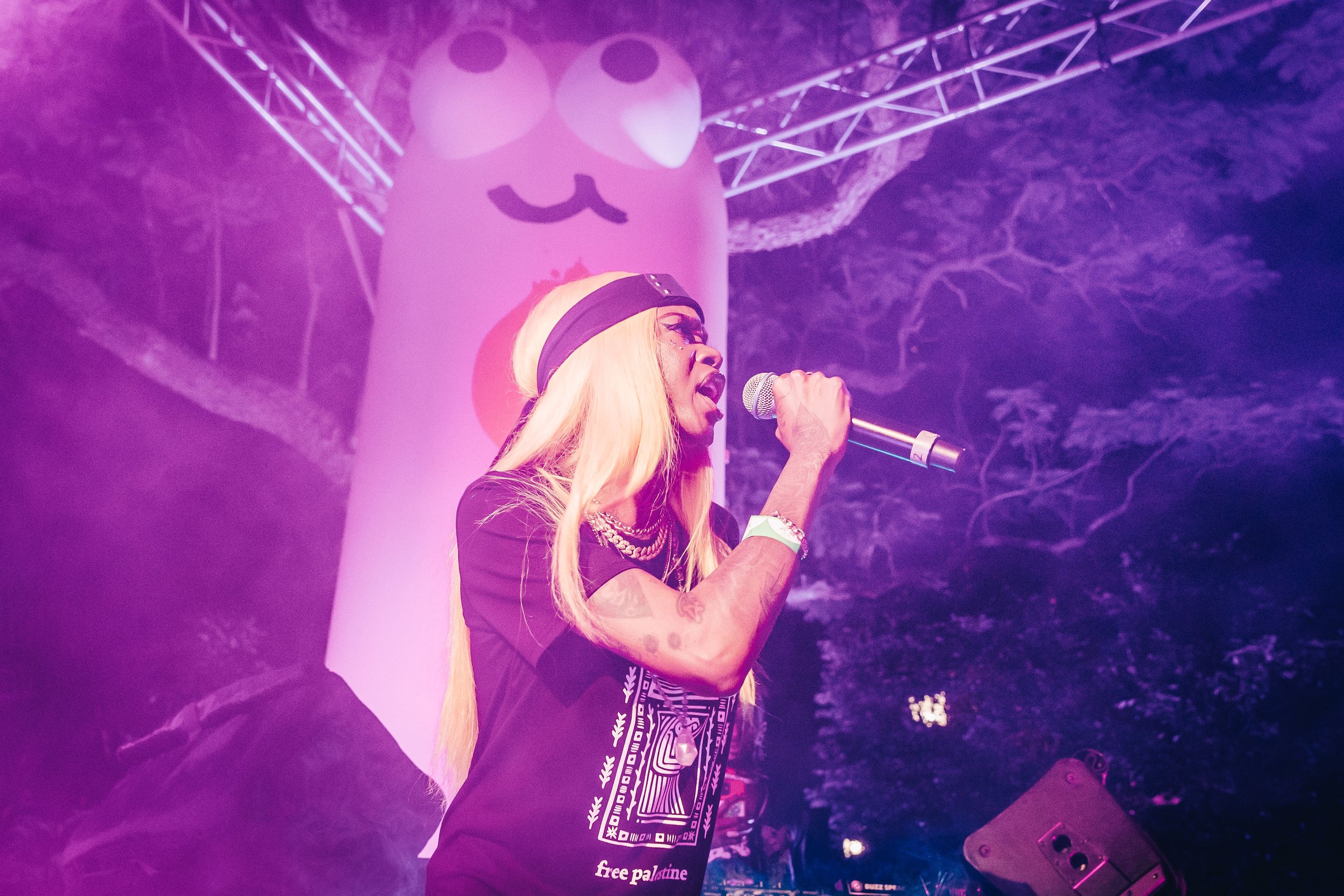 032_HG-Mardi Gras-Cookie_credit-AnnaHay.jpg