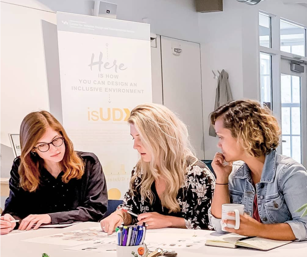 Assessment Usability Design and Inclusion Tool