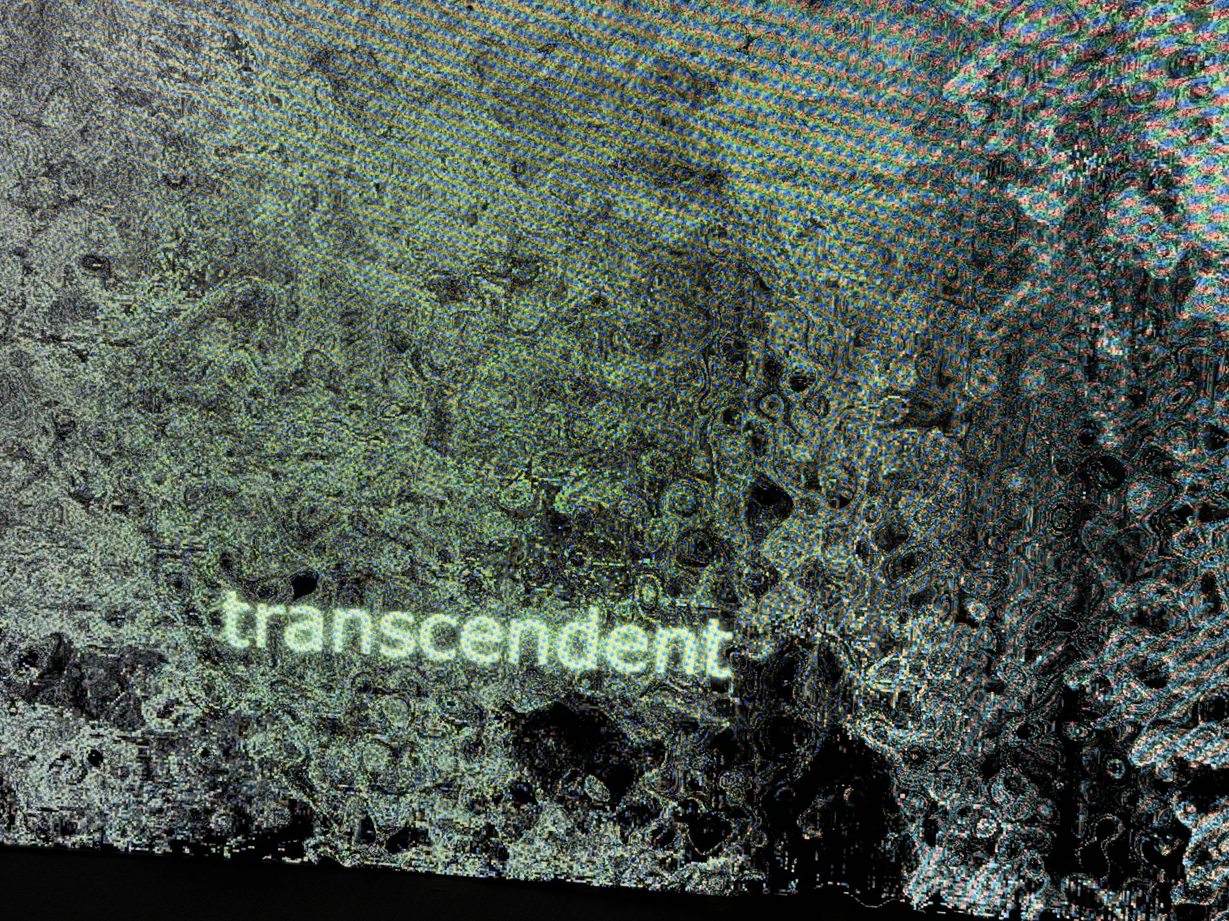 Extract: If you find me I am already someone else. Experimental Performance, ILA 2025.