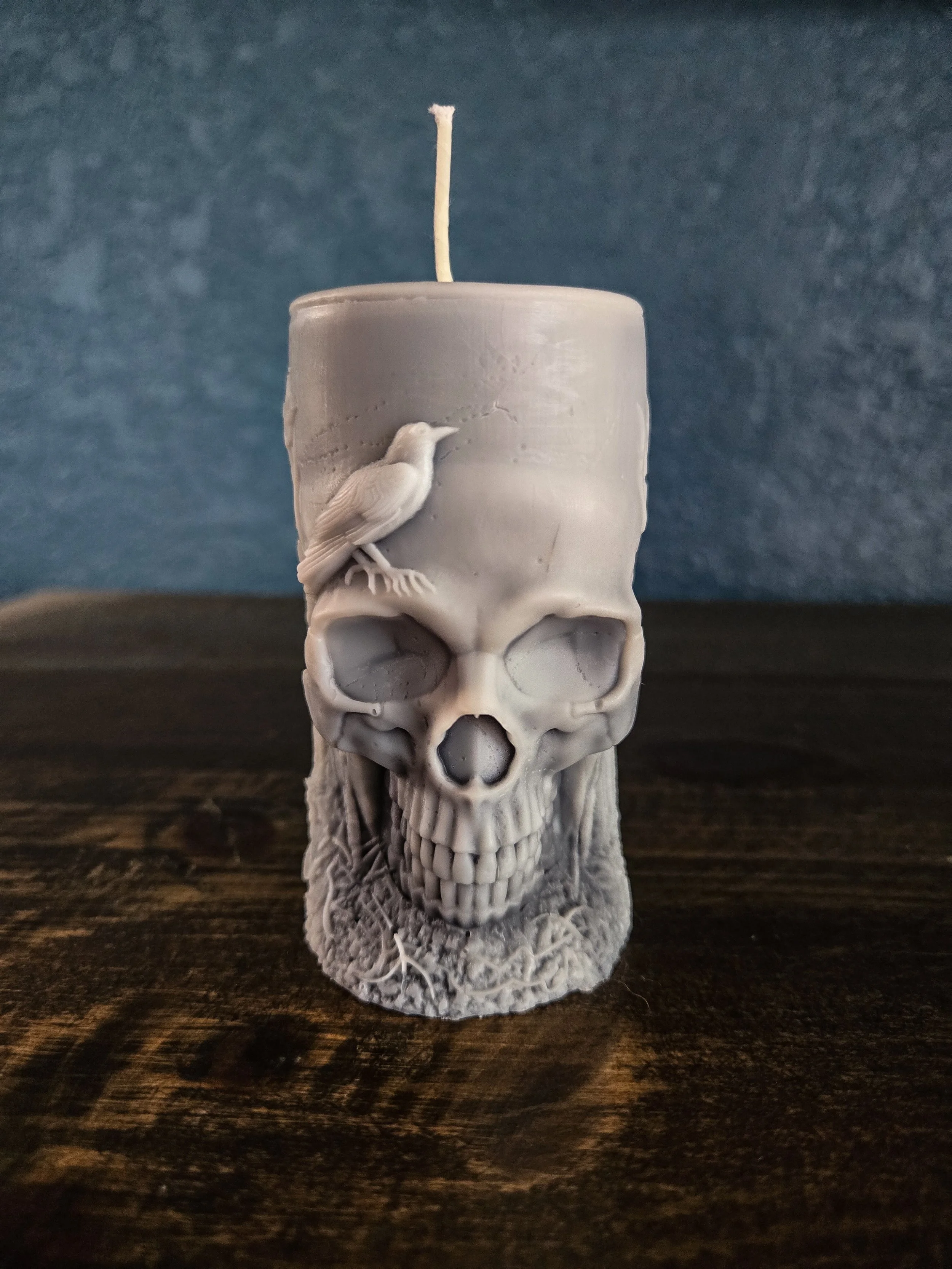 Skull & Raven