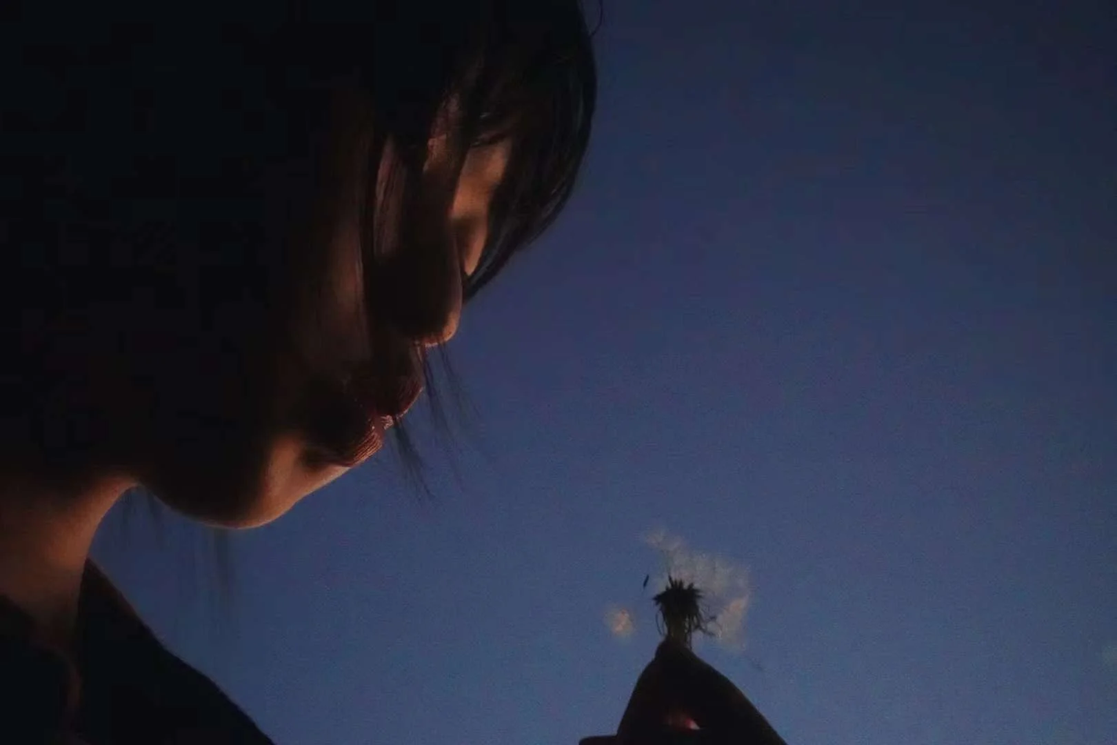 棒典 2024-01-01 01.56.31.jpeg