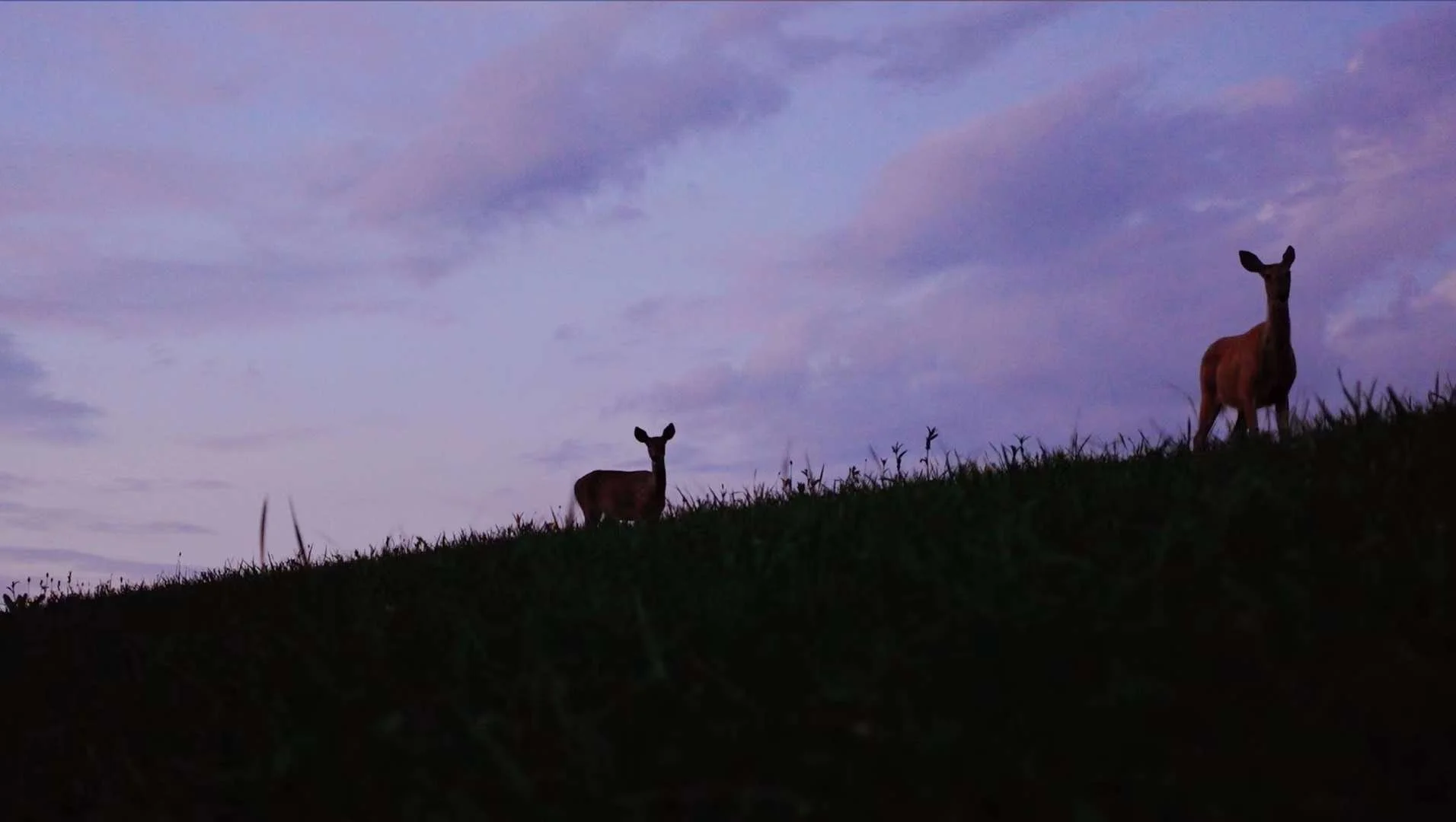 棒典 2024-01-01 01.59.48.jpeg