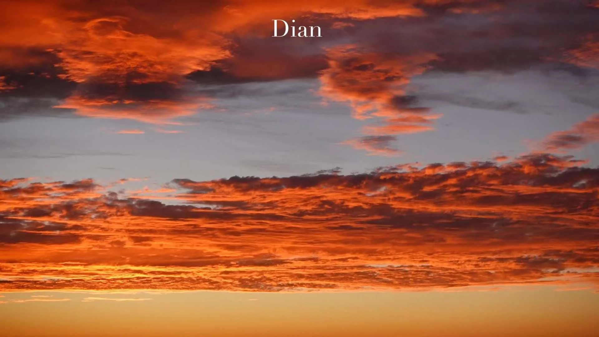 棒典 2024-01-01 01.54.12.jpeg