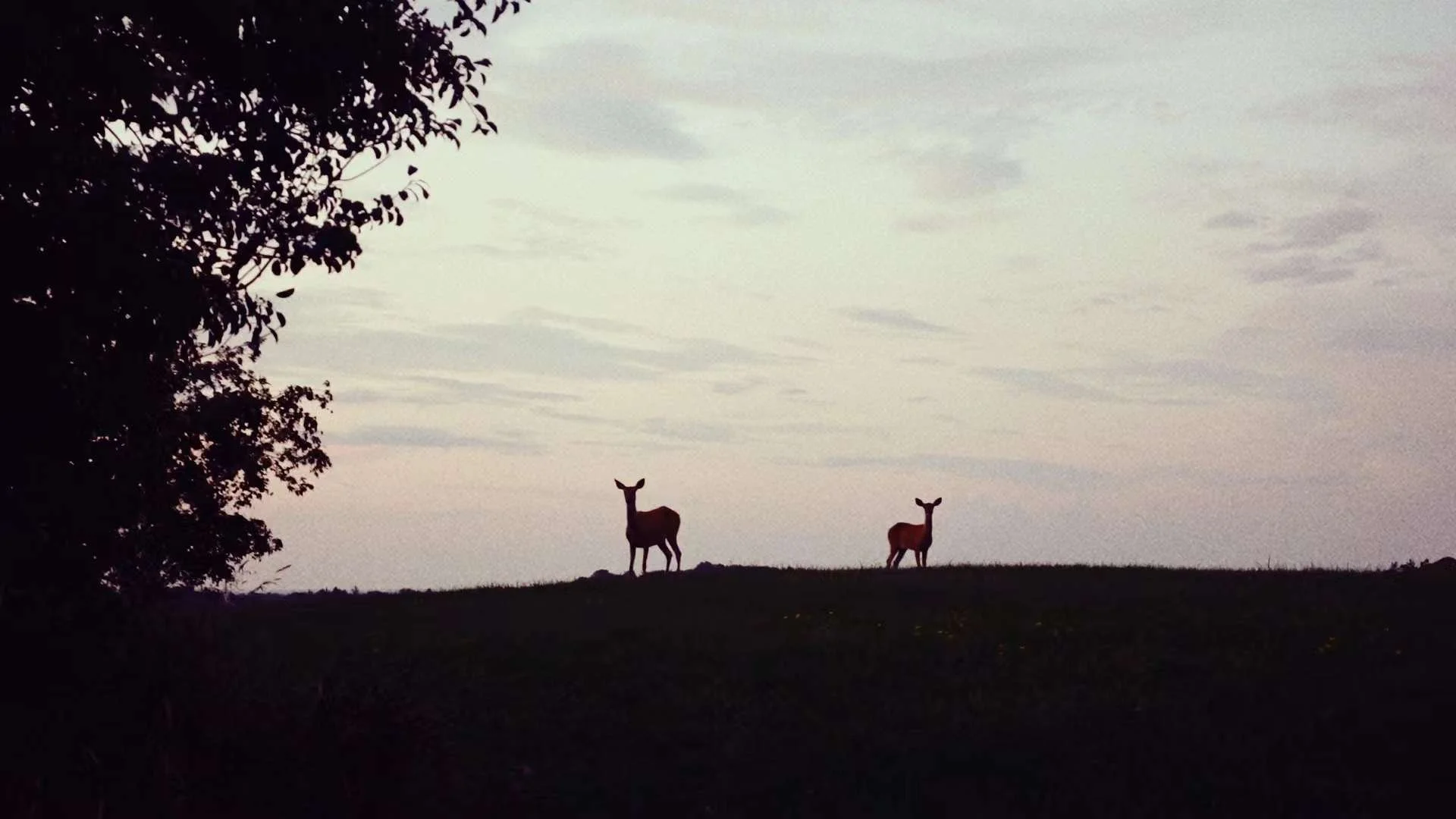 棒典 2024-01-01 01.59.46.jpeg