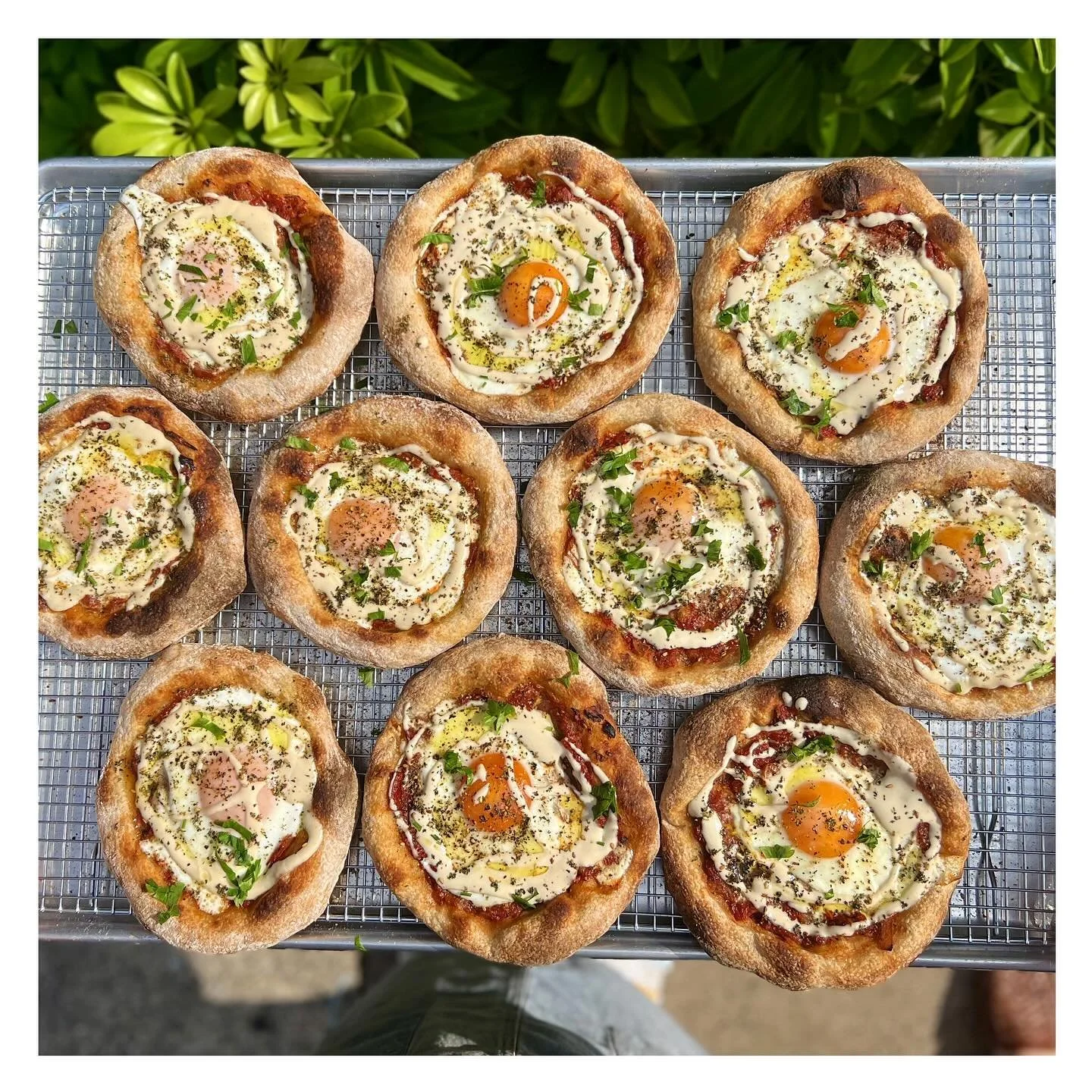Shakshuka flatbreads 🍅 شكشوكة .  Nice tomato za&rsquo;atar sauce topped with an egg, tahini, more za&rsquo;atar and olive oil ! .
.
.
.
.
.
.
#bakery #baking #middleeasternfood #shakshuka #tomatoes #phillyfood #majdalbakery