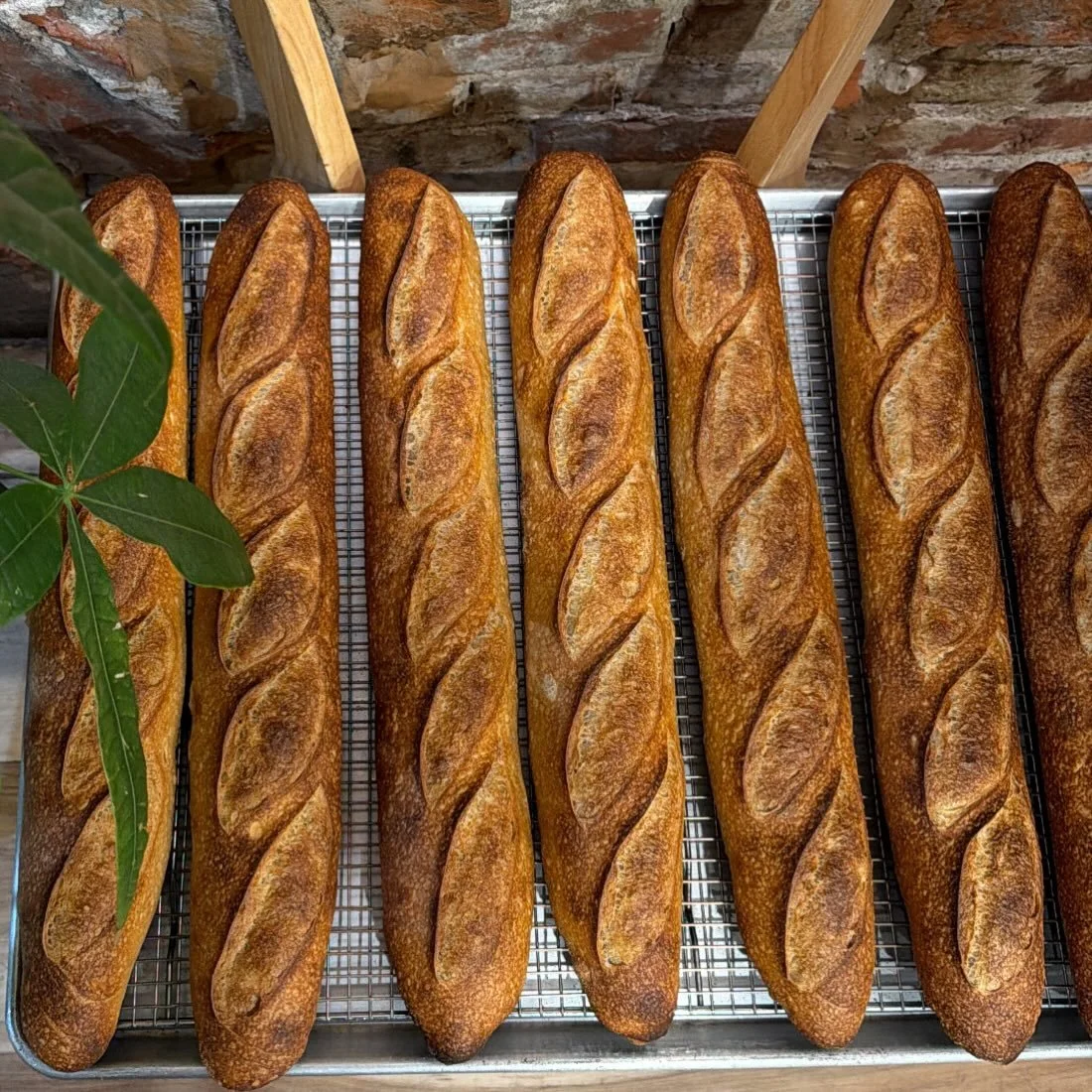 We love a good baguette 🥖 
.
.
.
.
.
#baguette #majdalbakery