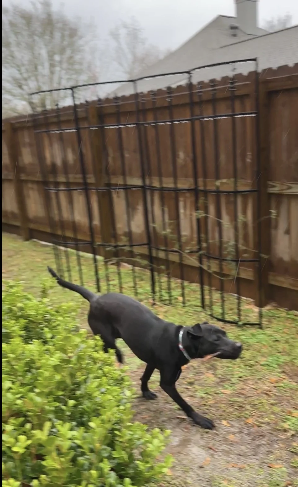 I'm only happy when it rains.