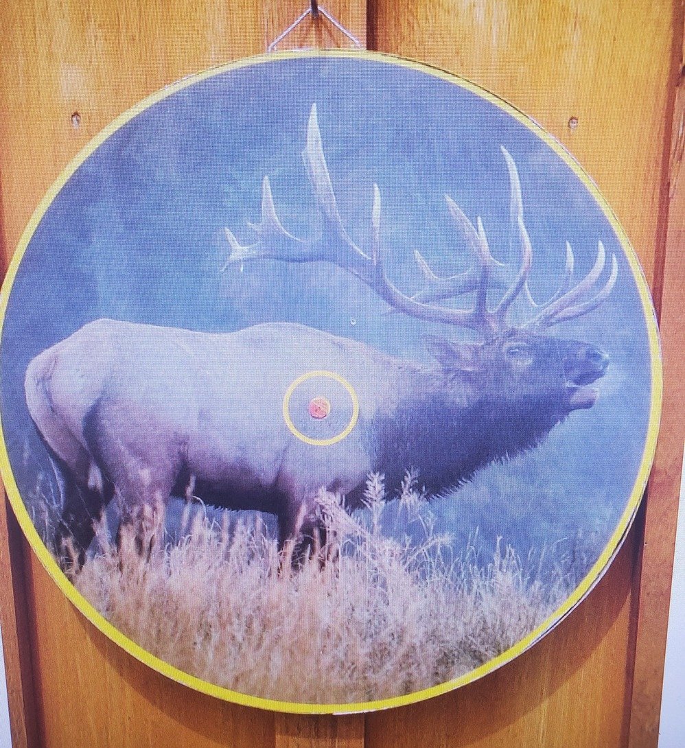 lifelike animal print dart board ELK(1).jpg