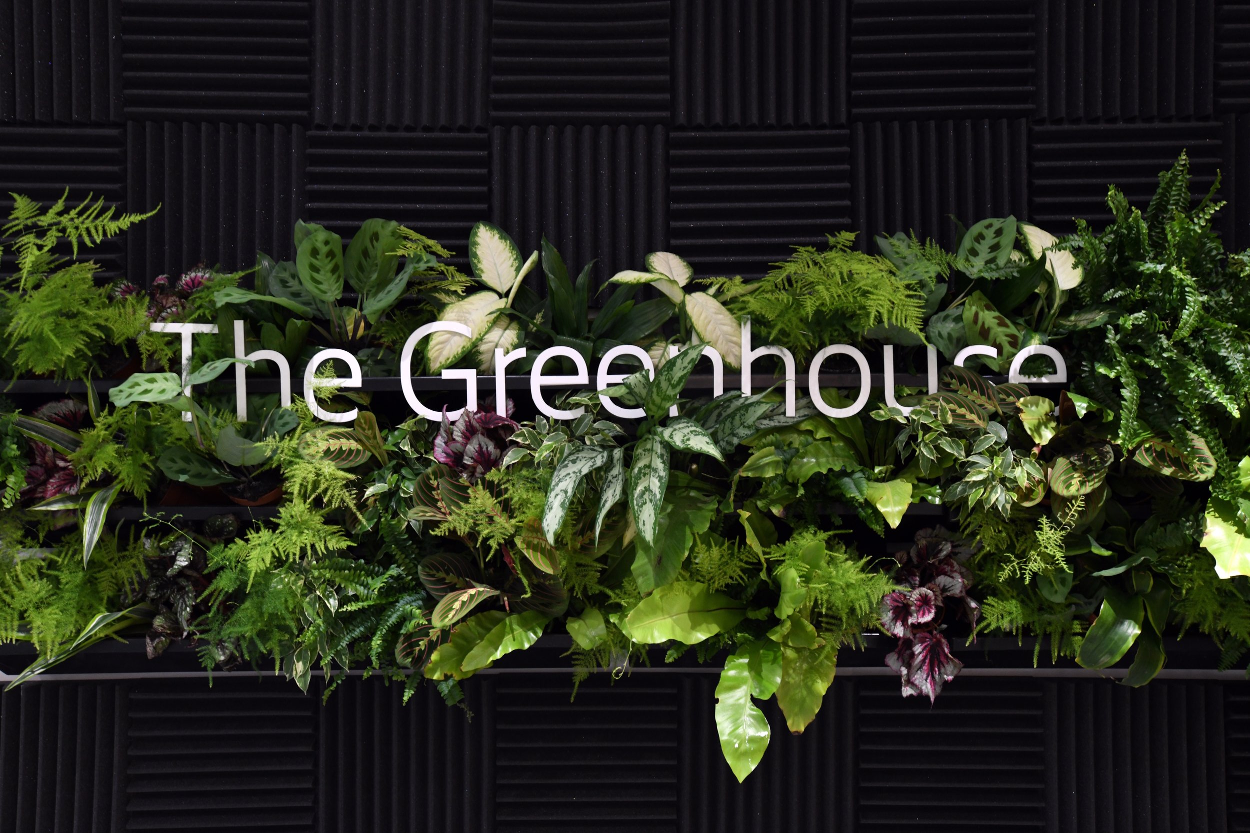 Ericsson_MWC_Branding1.jpg
