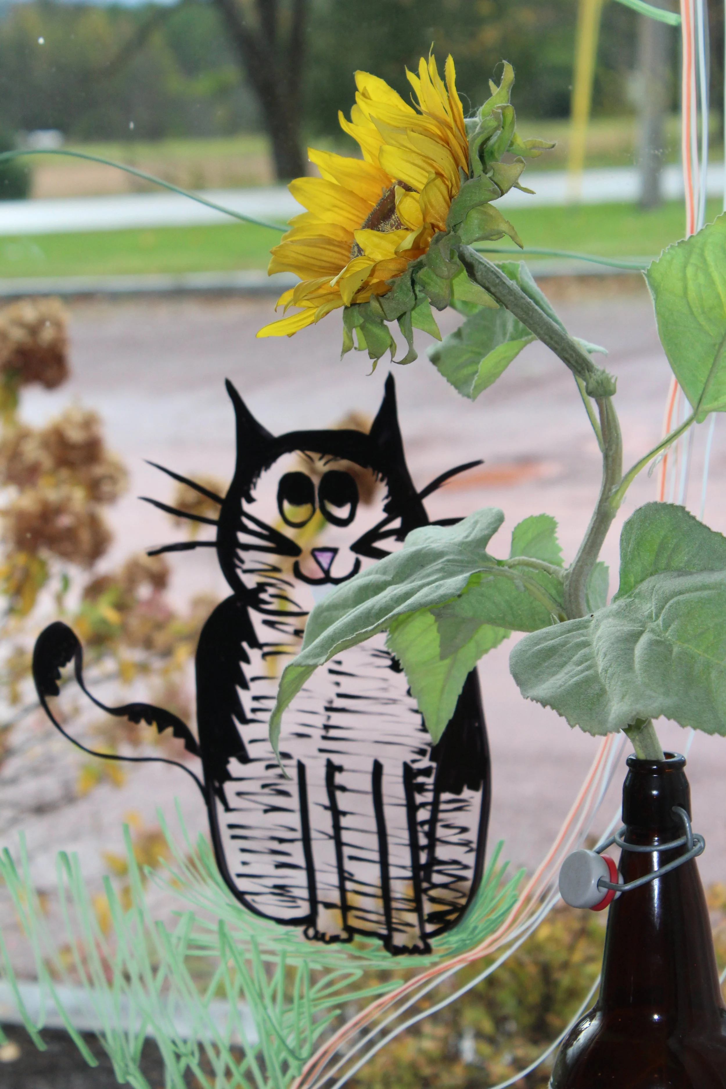 Harvest Moon Cat     Pittsford, Vermont