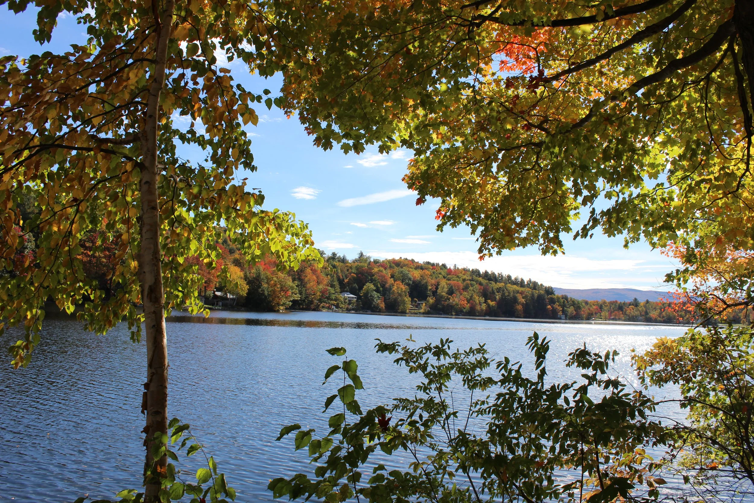 Looking Down The Lake  Tinmouth Pond Vt