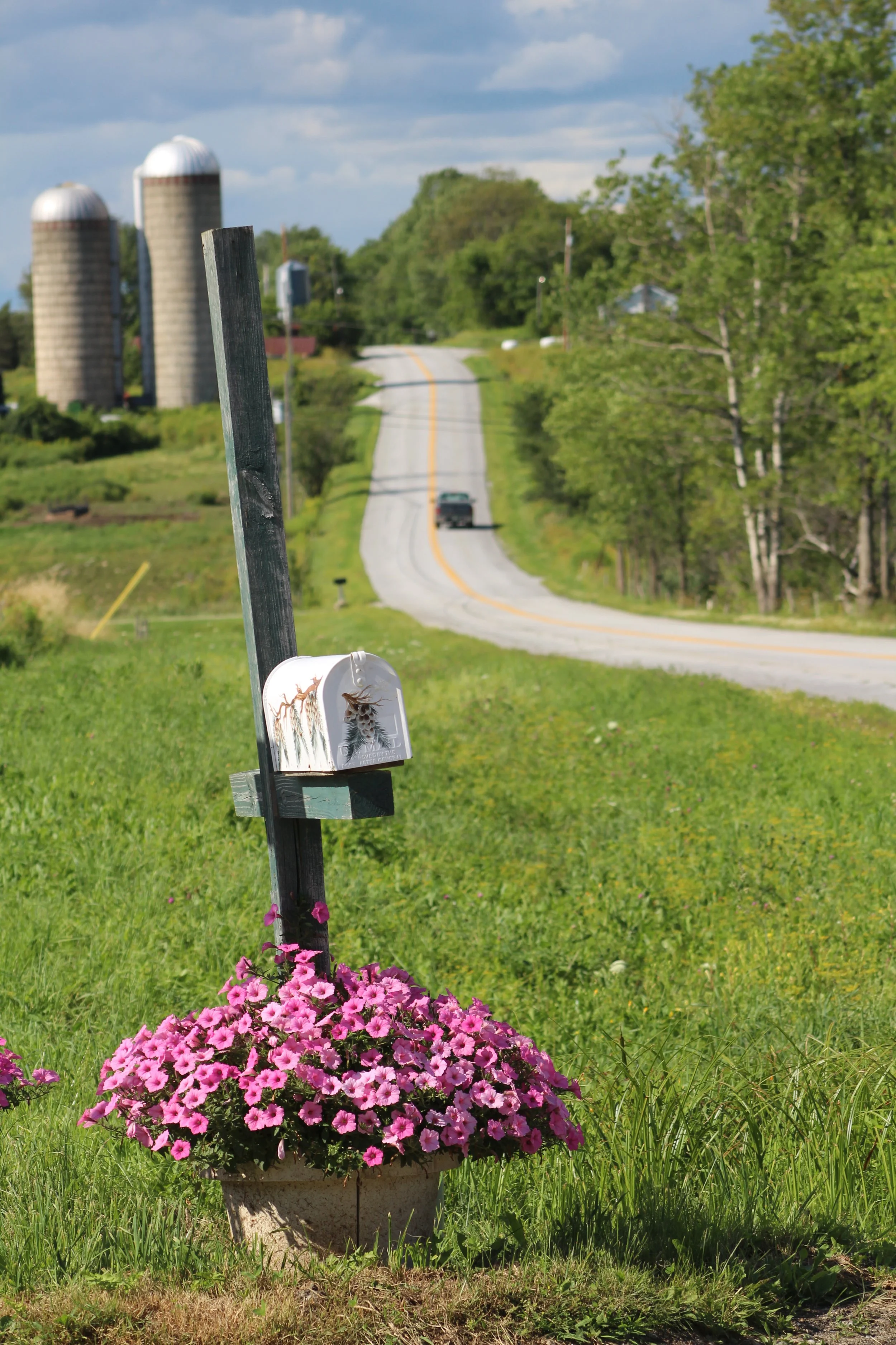 Up The Hill To Home          Danby, Vermont
