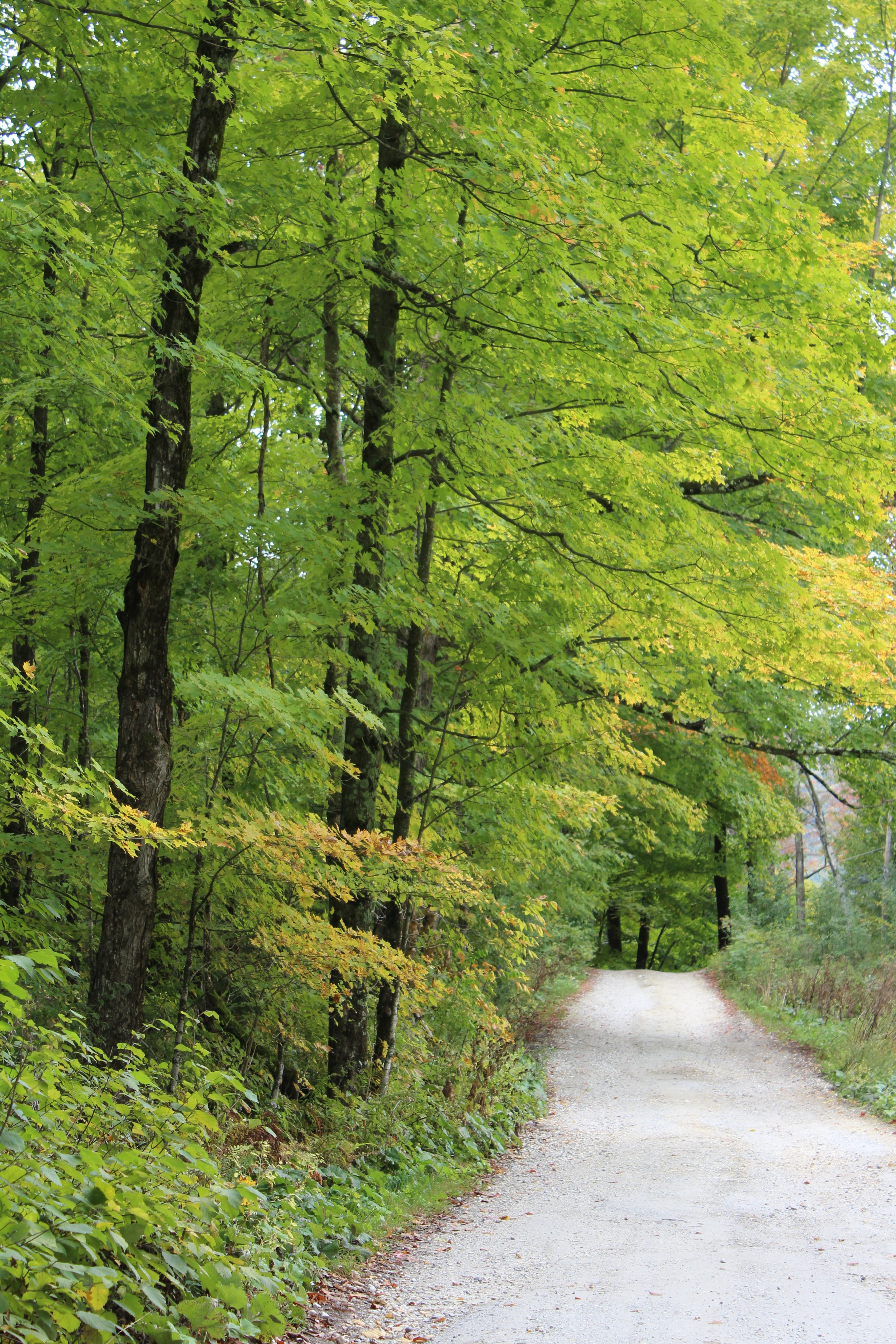 The Road Home Tinmouth Pond Vermont