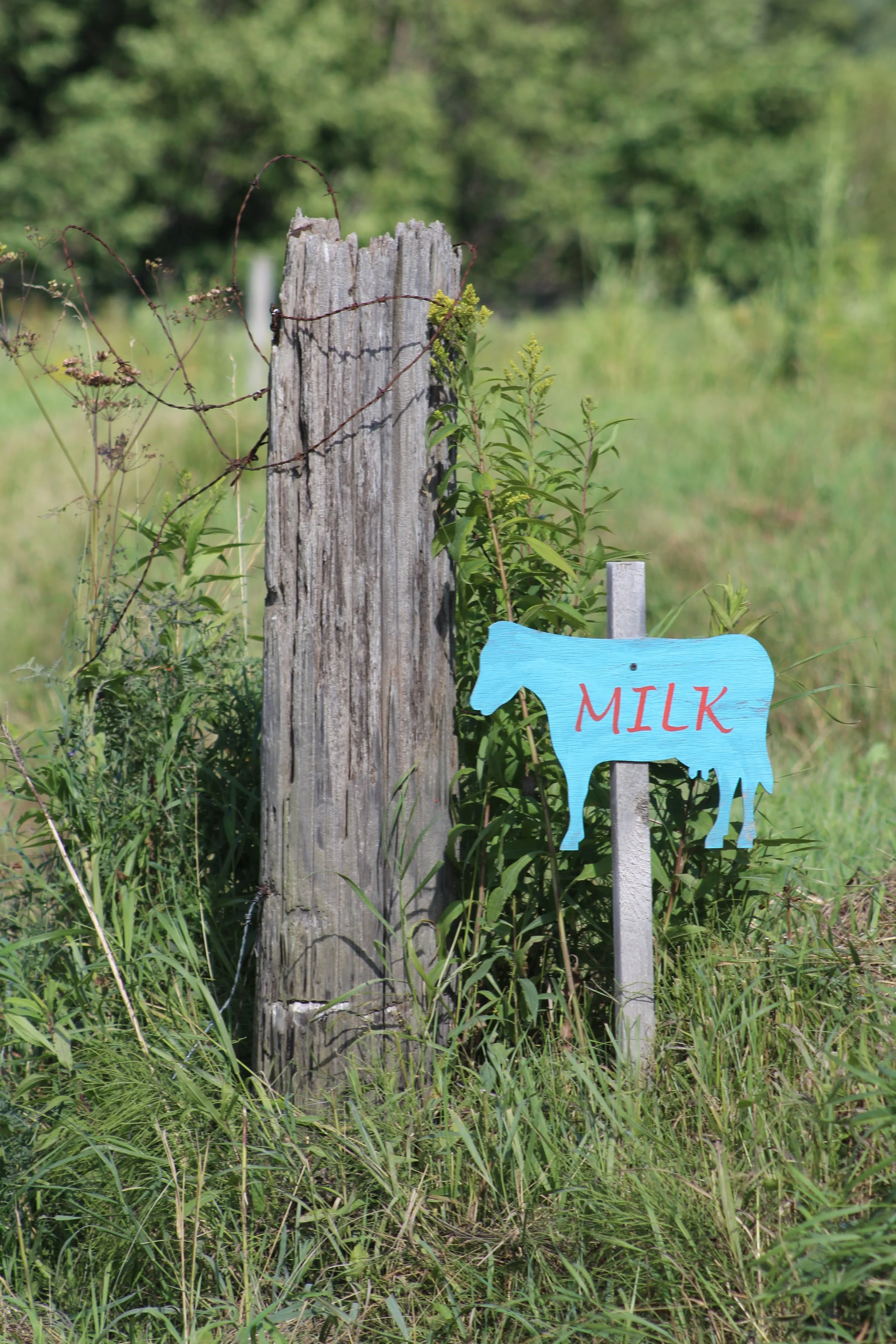 Smokey House Sign      Danby, Vermont