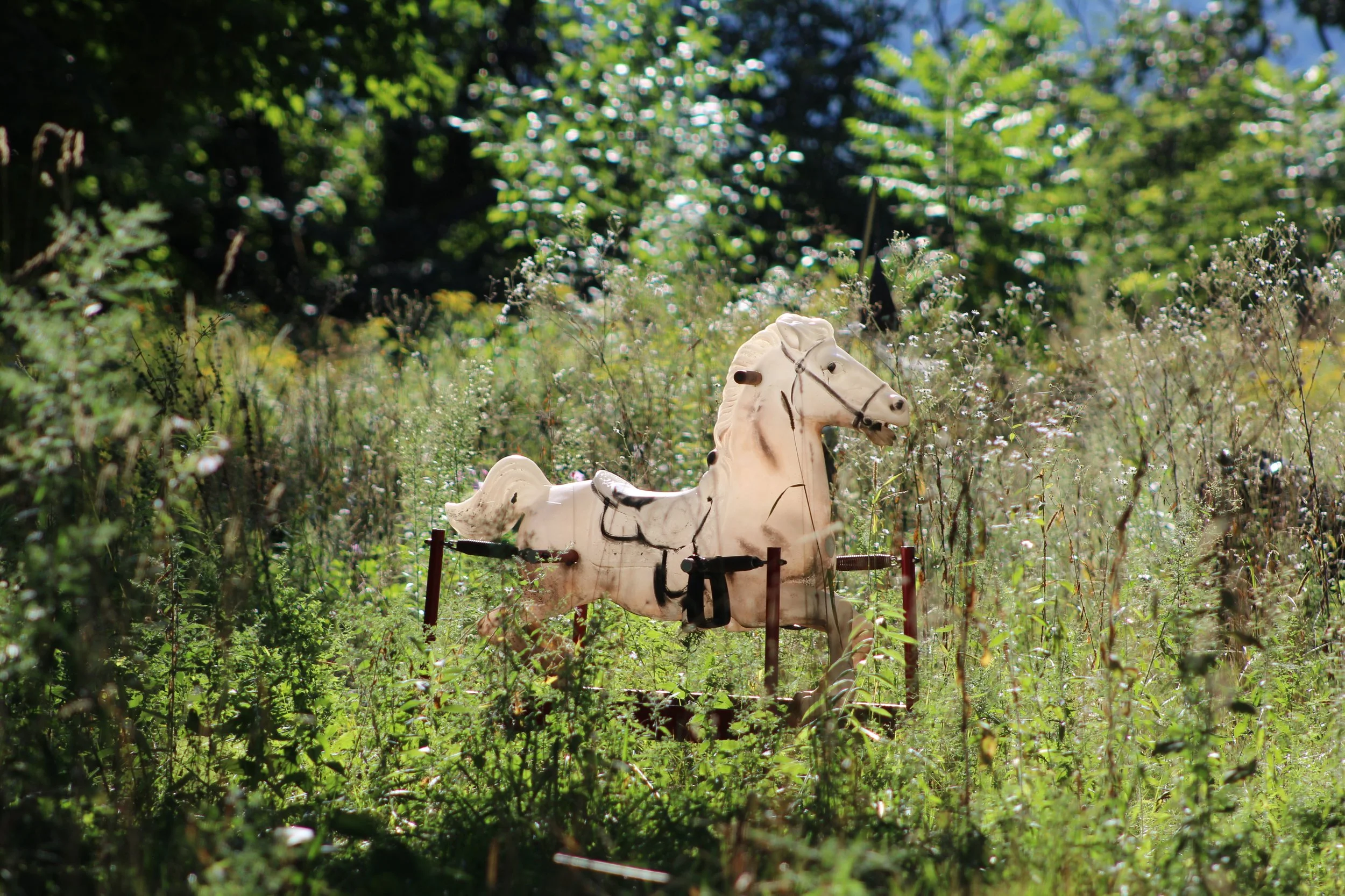 Out To Pasture      Clarendon, Vermont