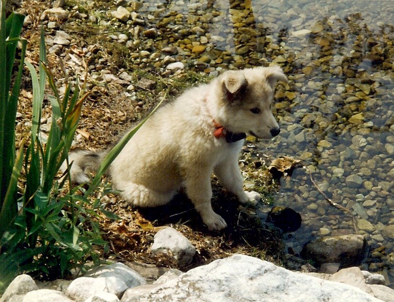First Bath Tinmouth Pond Vermont
