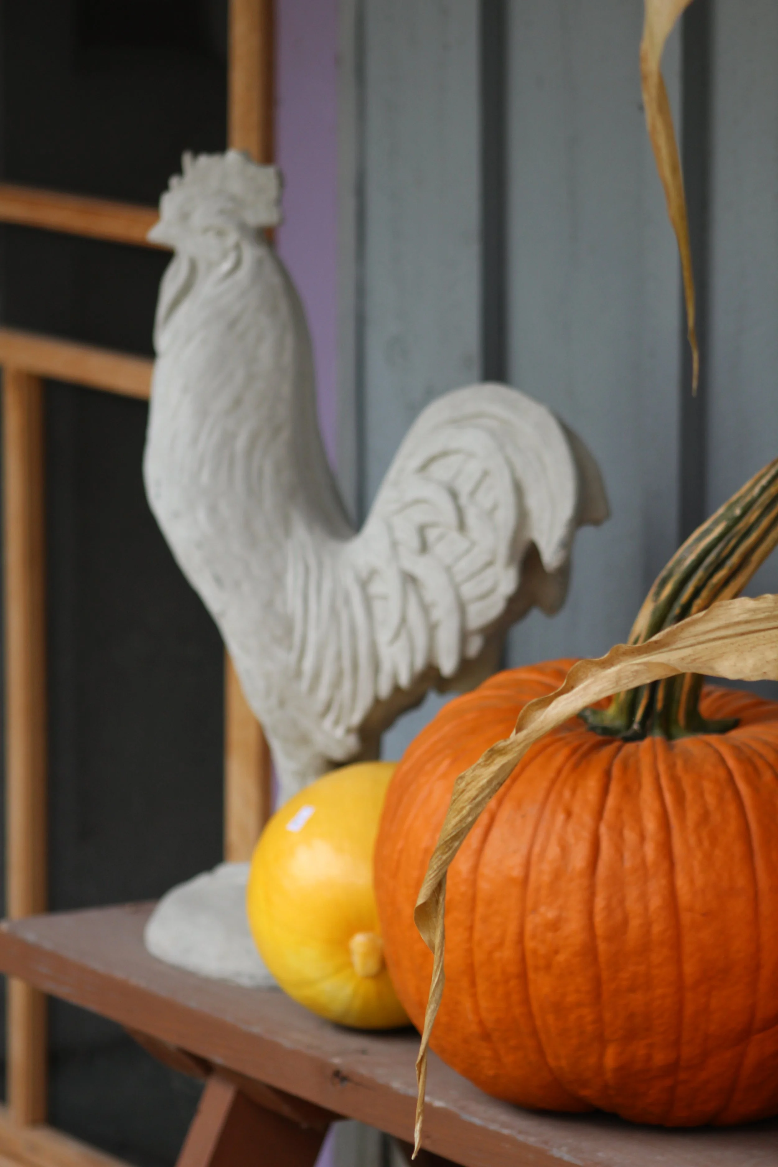 Still Life At Smokey House    Danby, Vermont