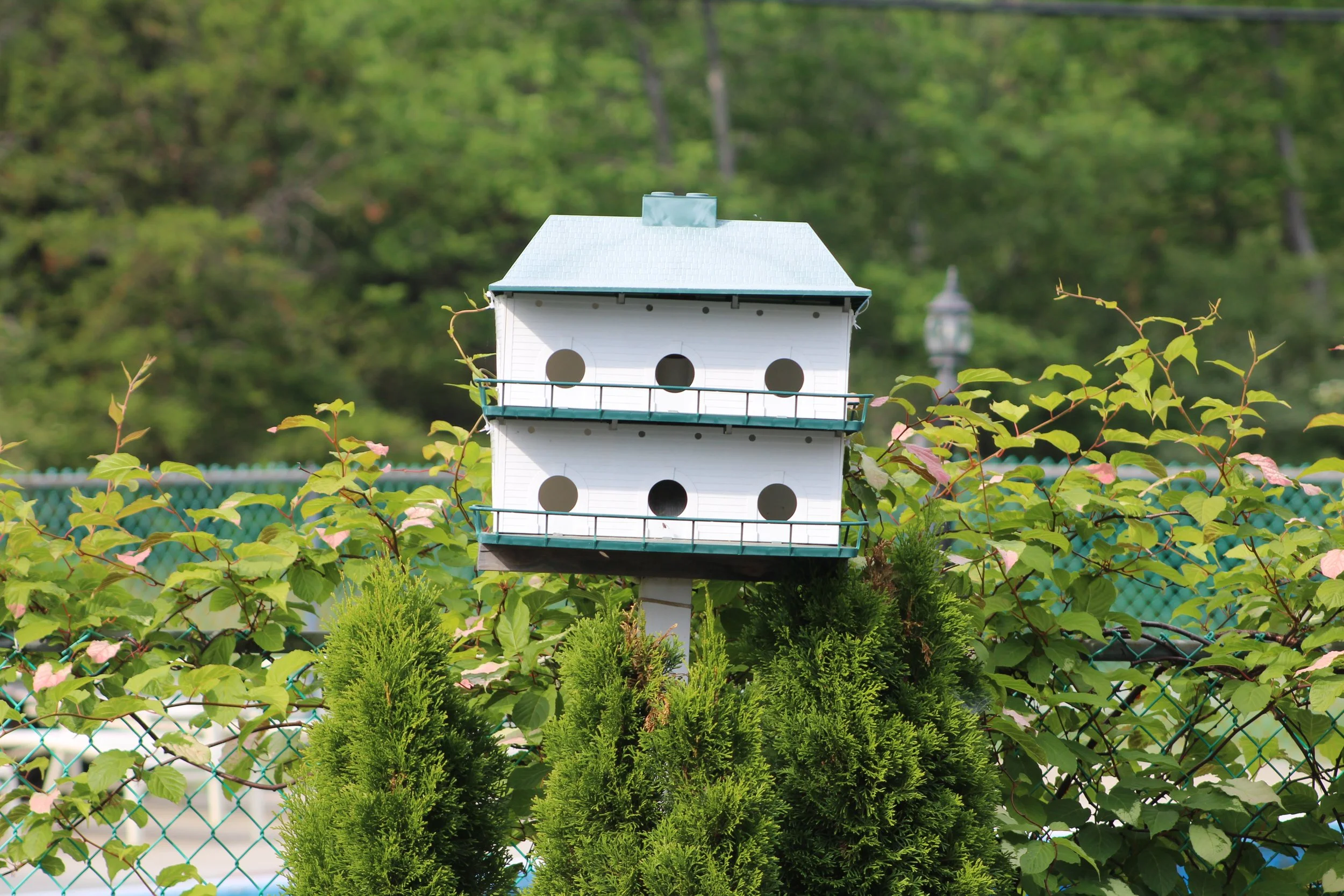 Apartment House     Wilmington, New York