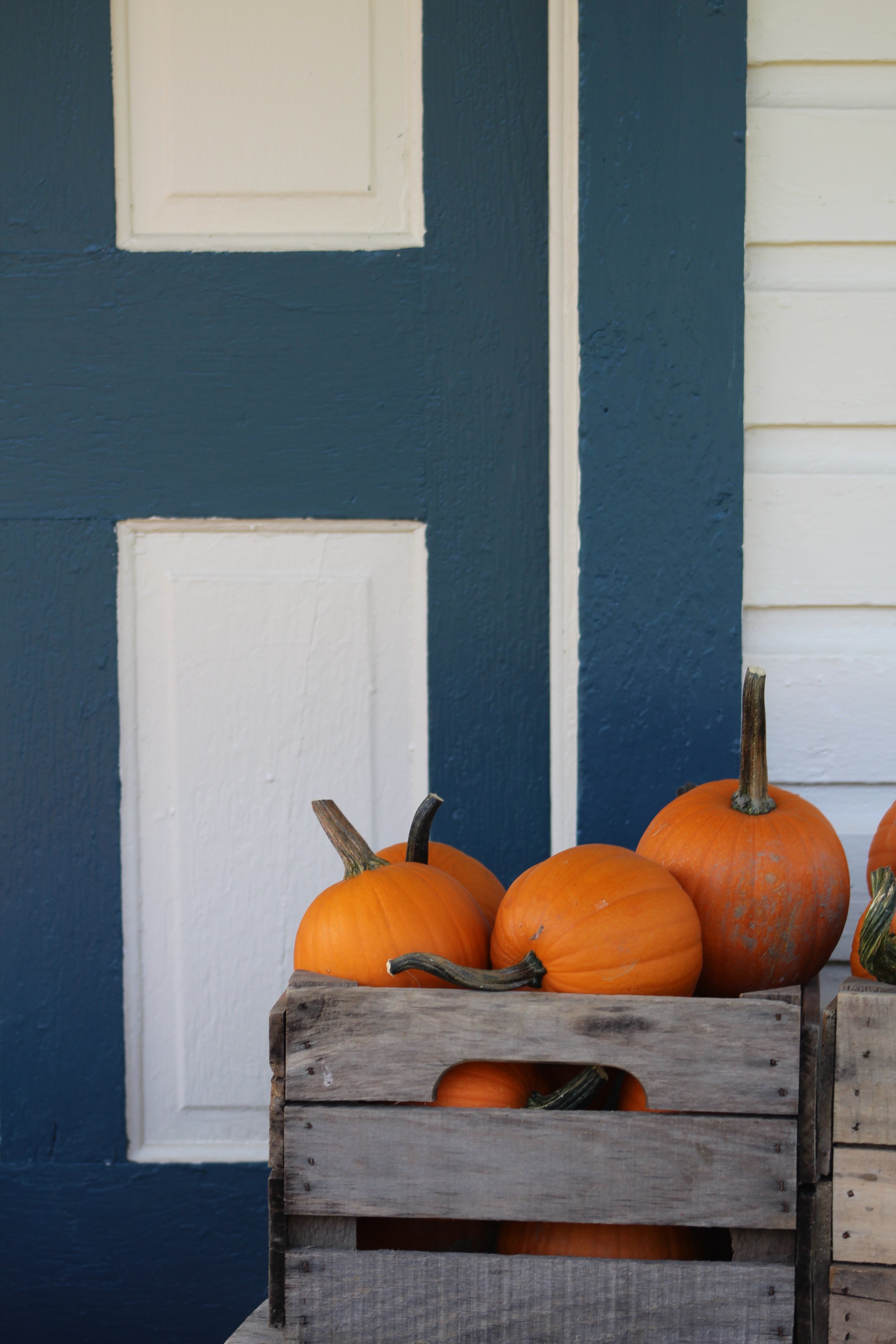 The Berry Patch    Rt 22 Stephentown, NY