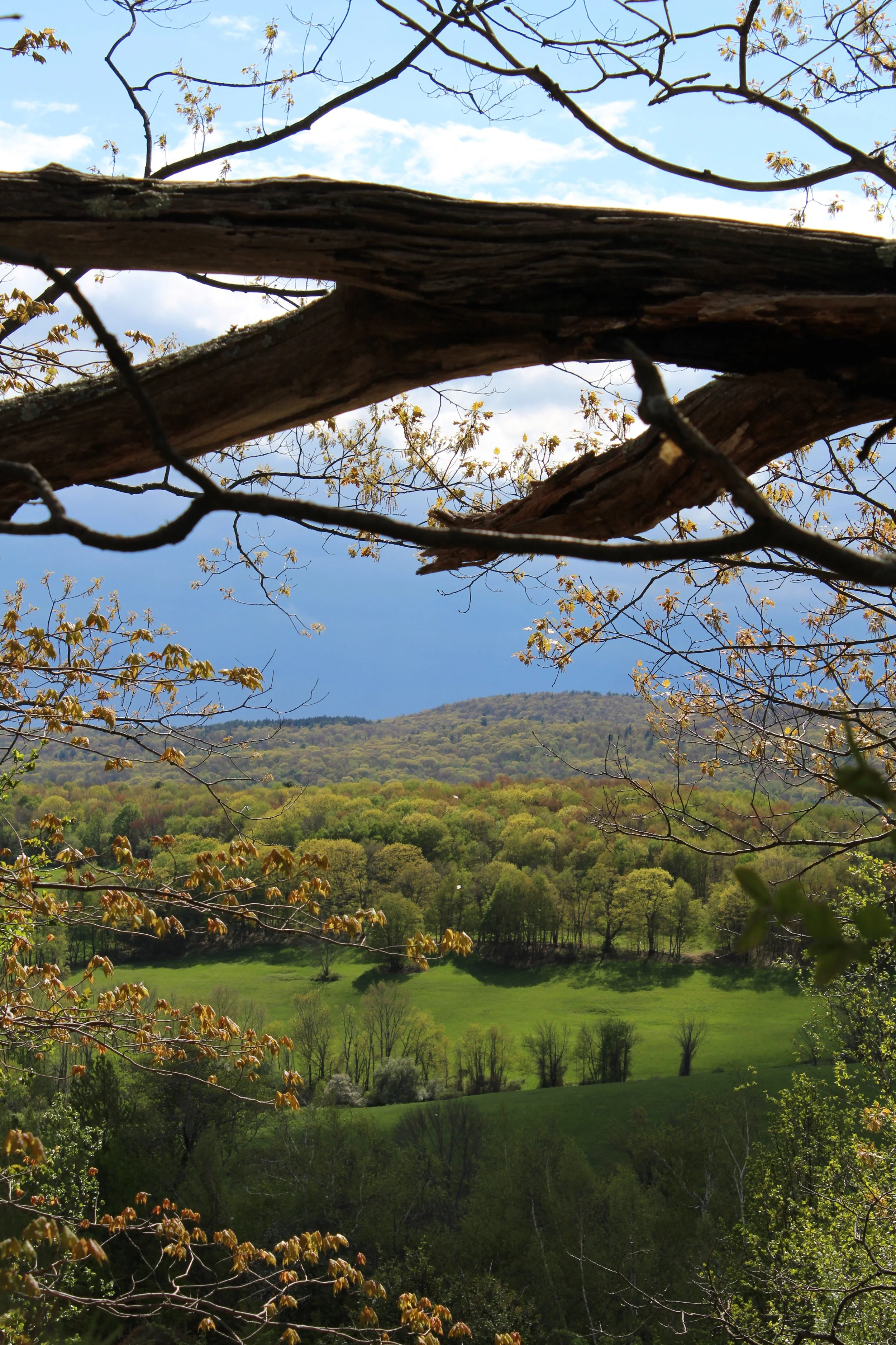 Peace In The Valley   Rt 22 North Hillsdale,NY