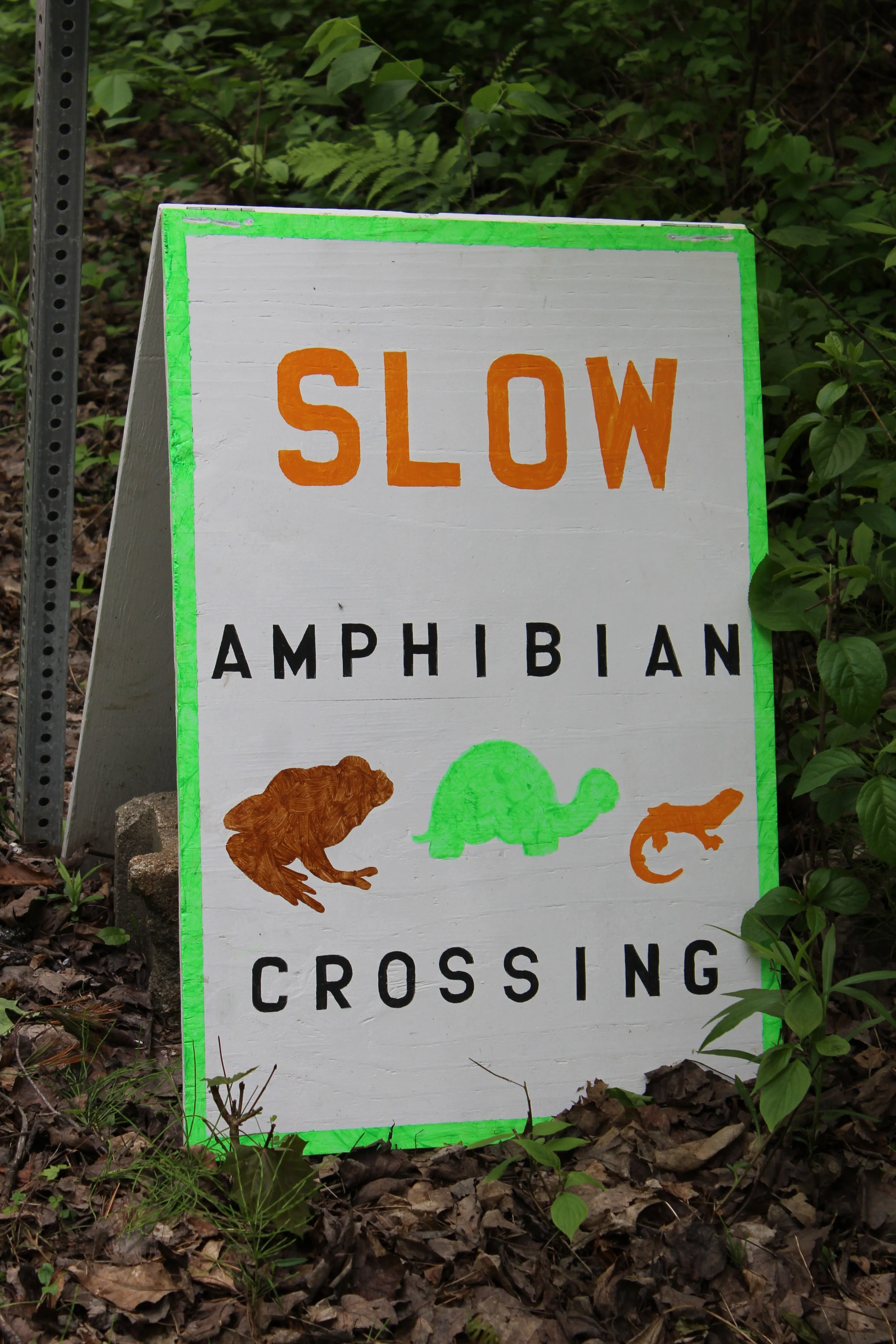 Slow Crossing       Tinmouth, Vermont