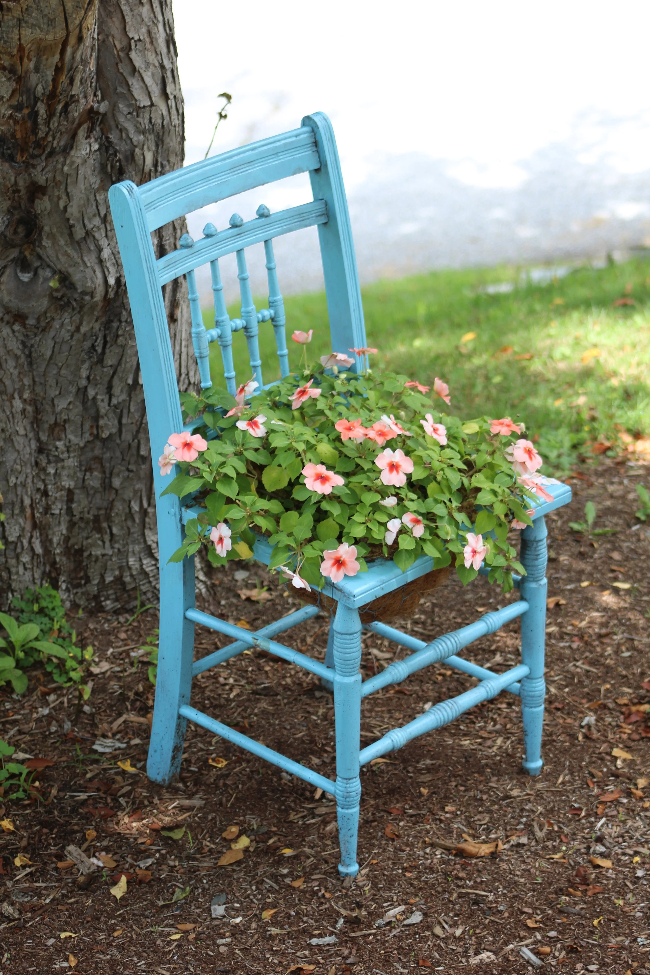 Sweet Seating        Northfield, Vermont