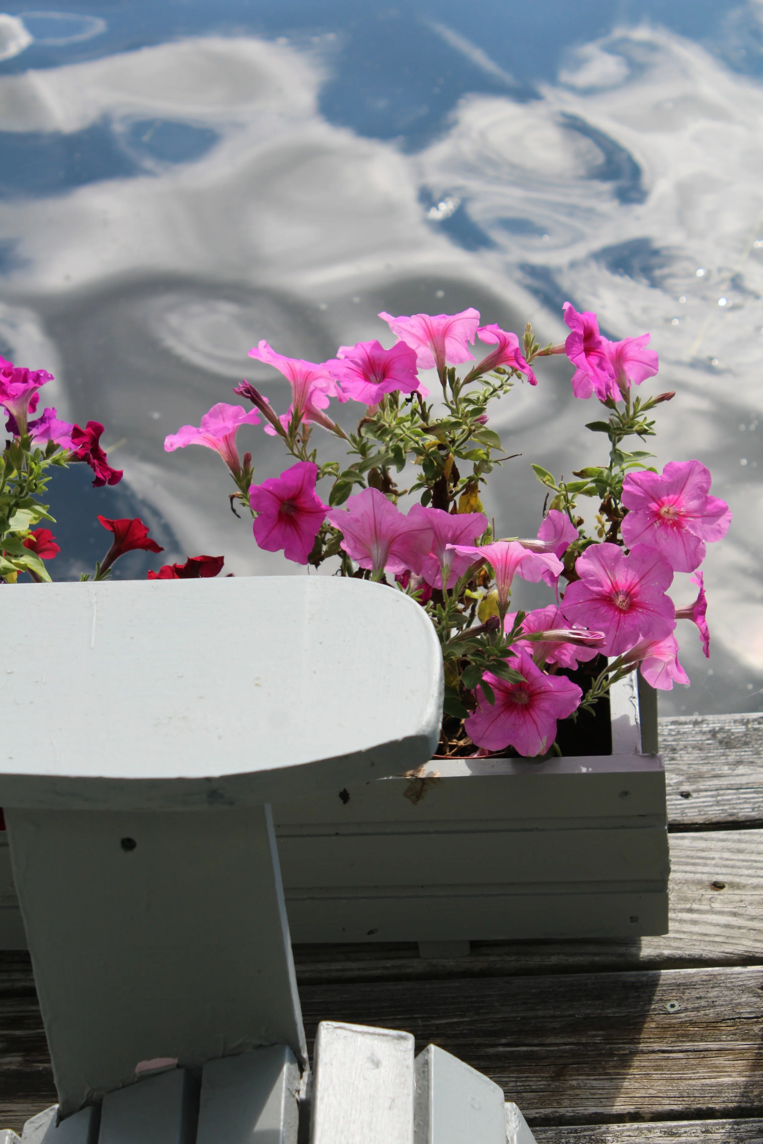 Lakeside        Tinmouth Pond, Vermont