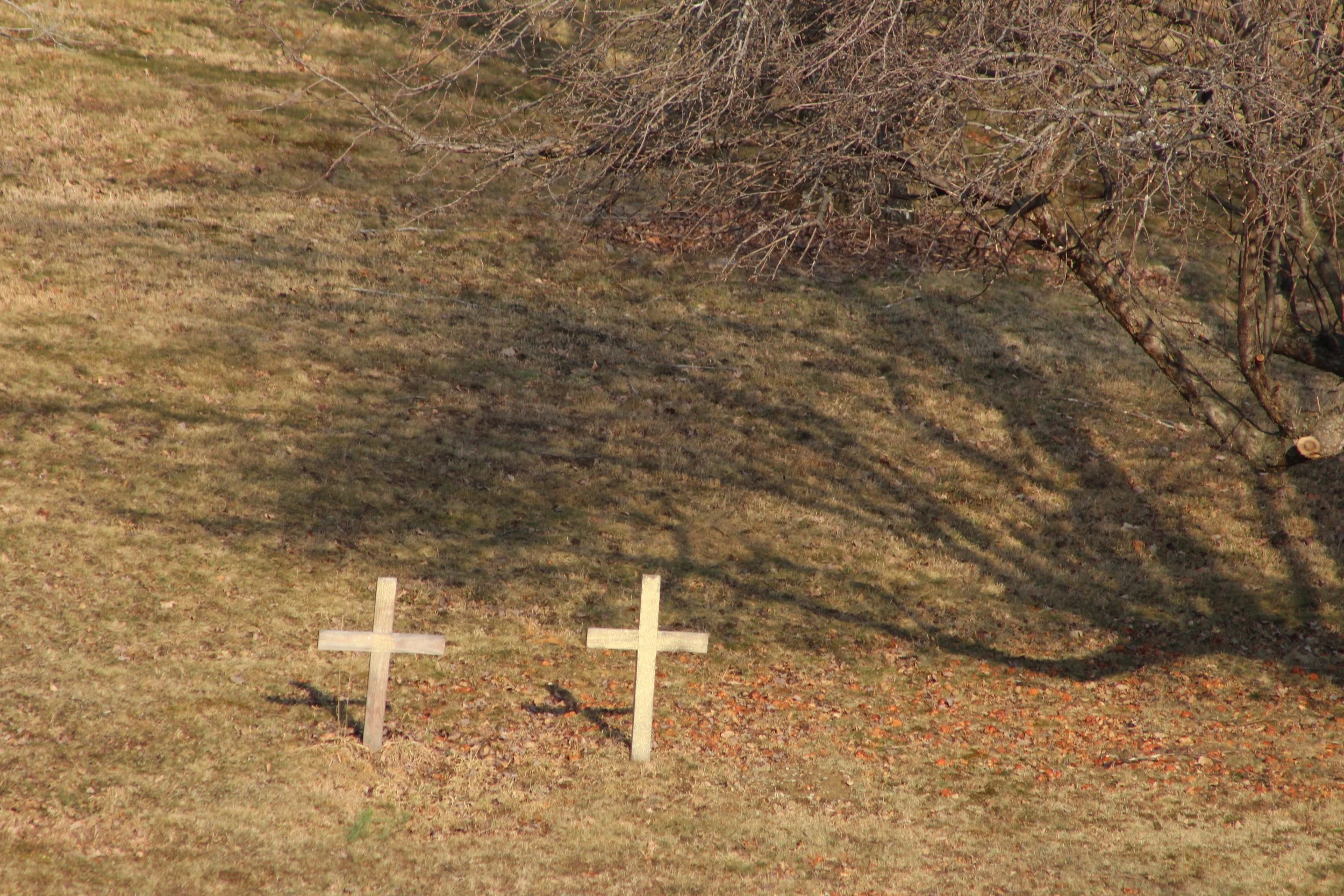 Double Crossed      Rt 22 Stephentown, NY