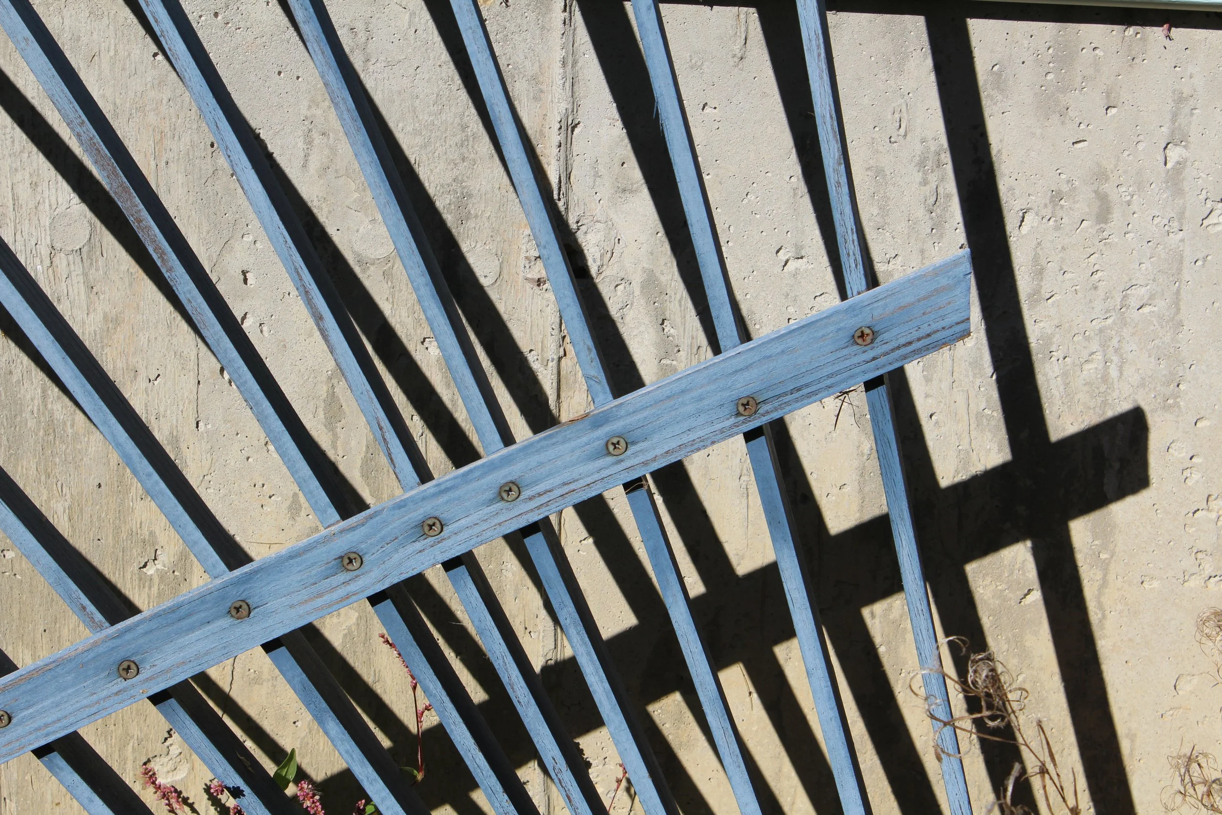 Cross Hatch       Tinmouth Pond, Vermont