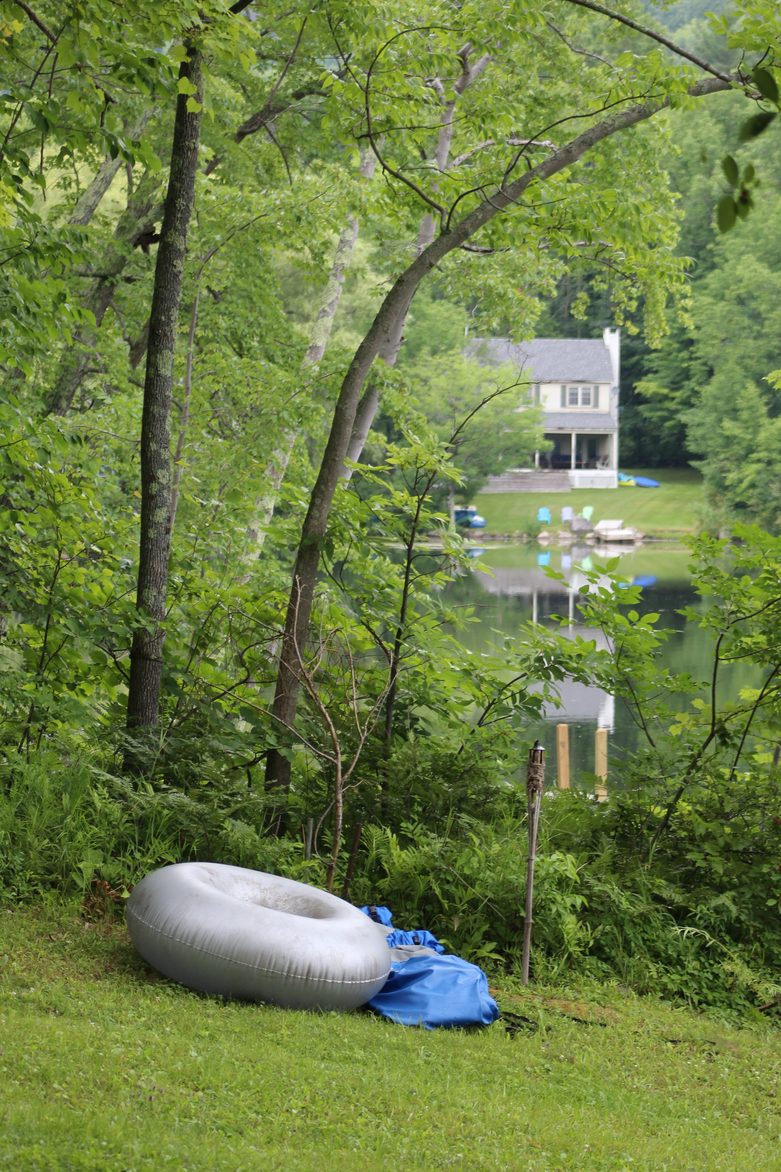 Summer Blues   Tinmouth Pond Vermont