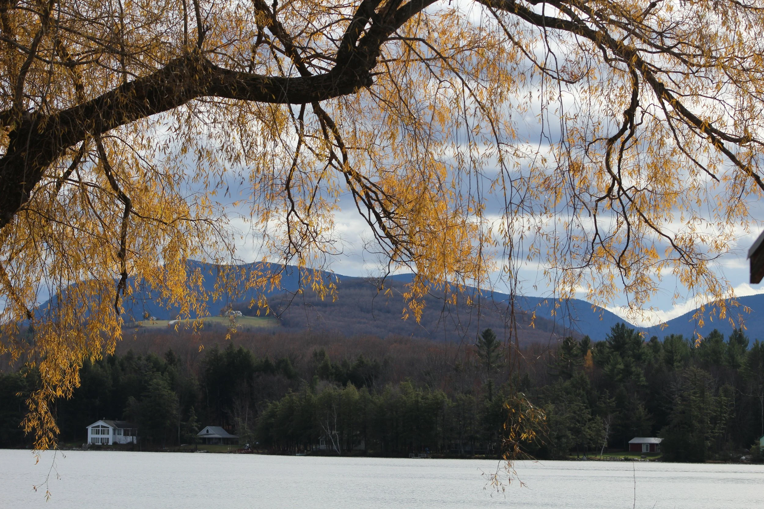 Looking South      Tinmouth Pond, Vermont