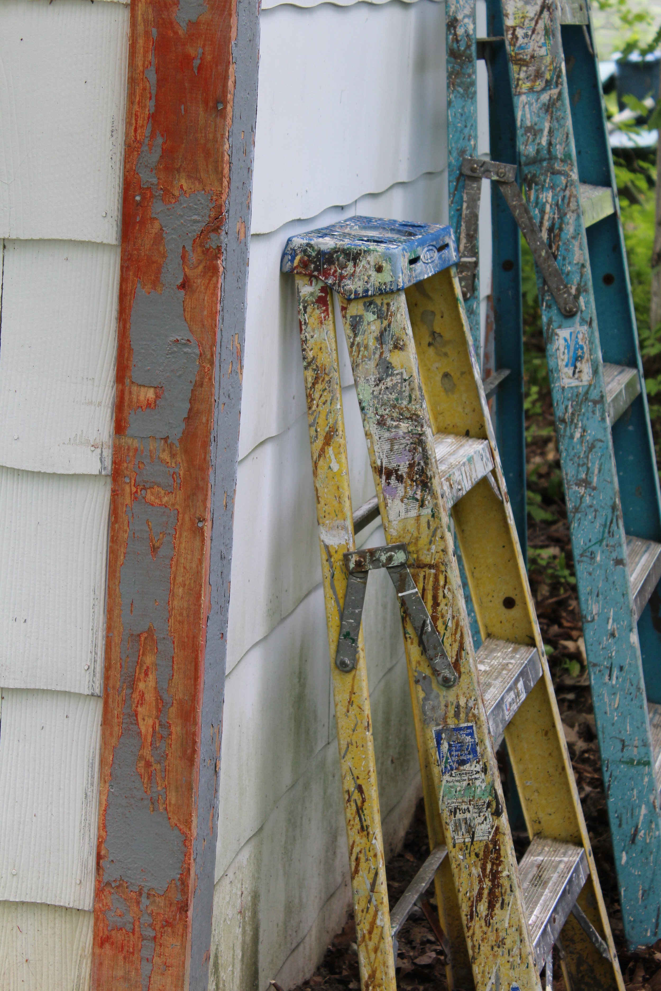 Painterly Ladders     Tinmouth Pond, Vermont