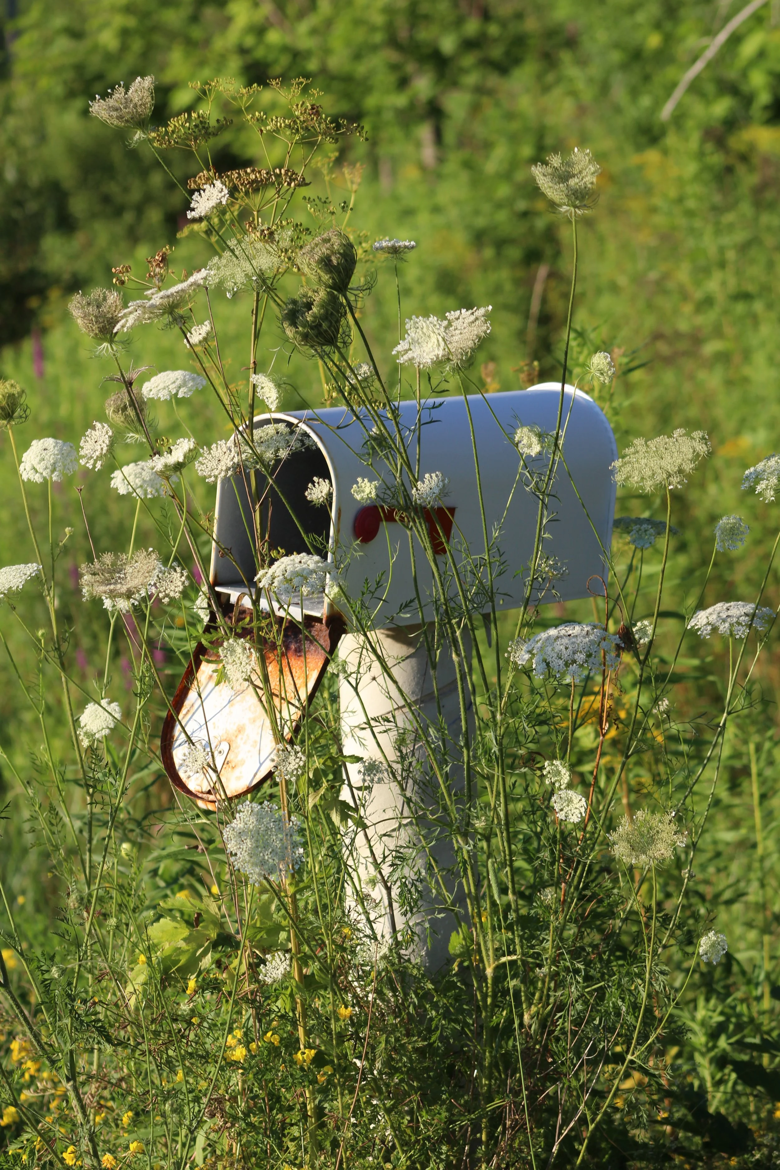 Days Gone By   Rt 22 Stephentown, New York