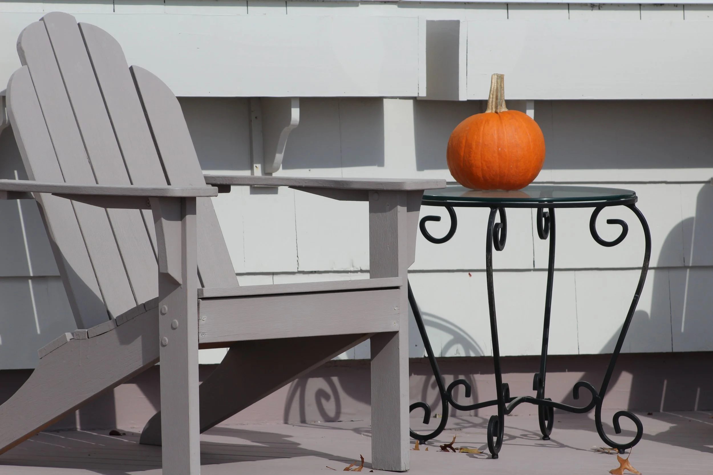 Table/Chair/Pumpkin 
  Hotchkiss Grove Branford, Connecticut