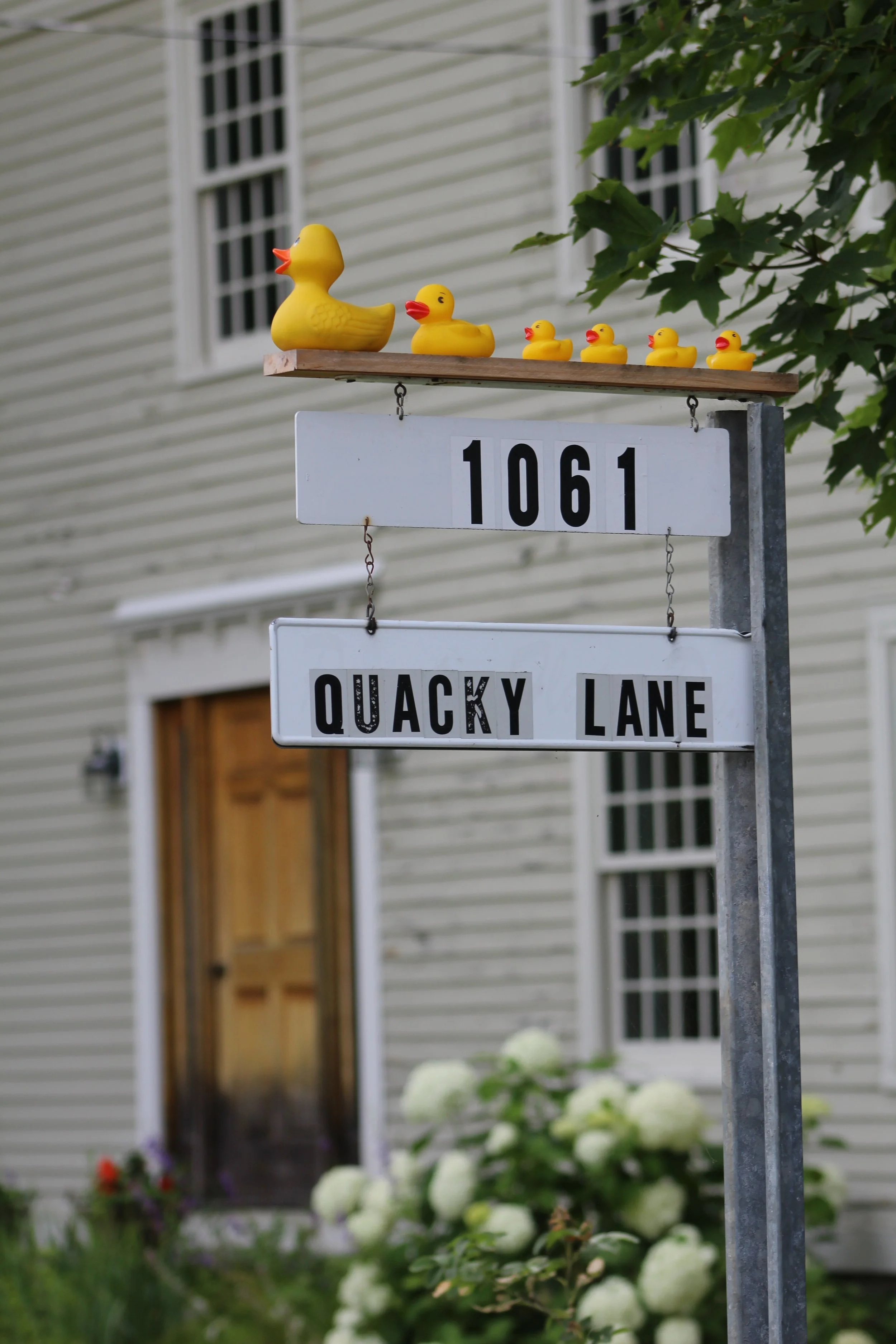 Quacky Lane     East Poultney, Vermont