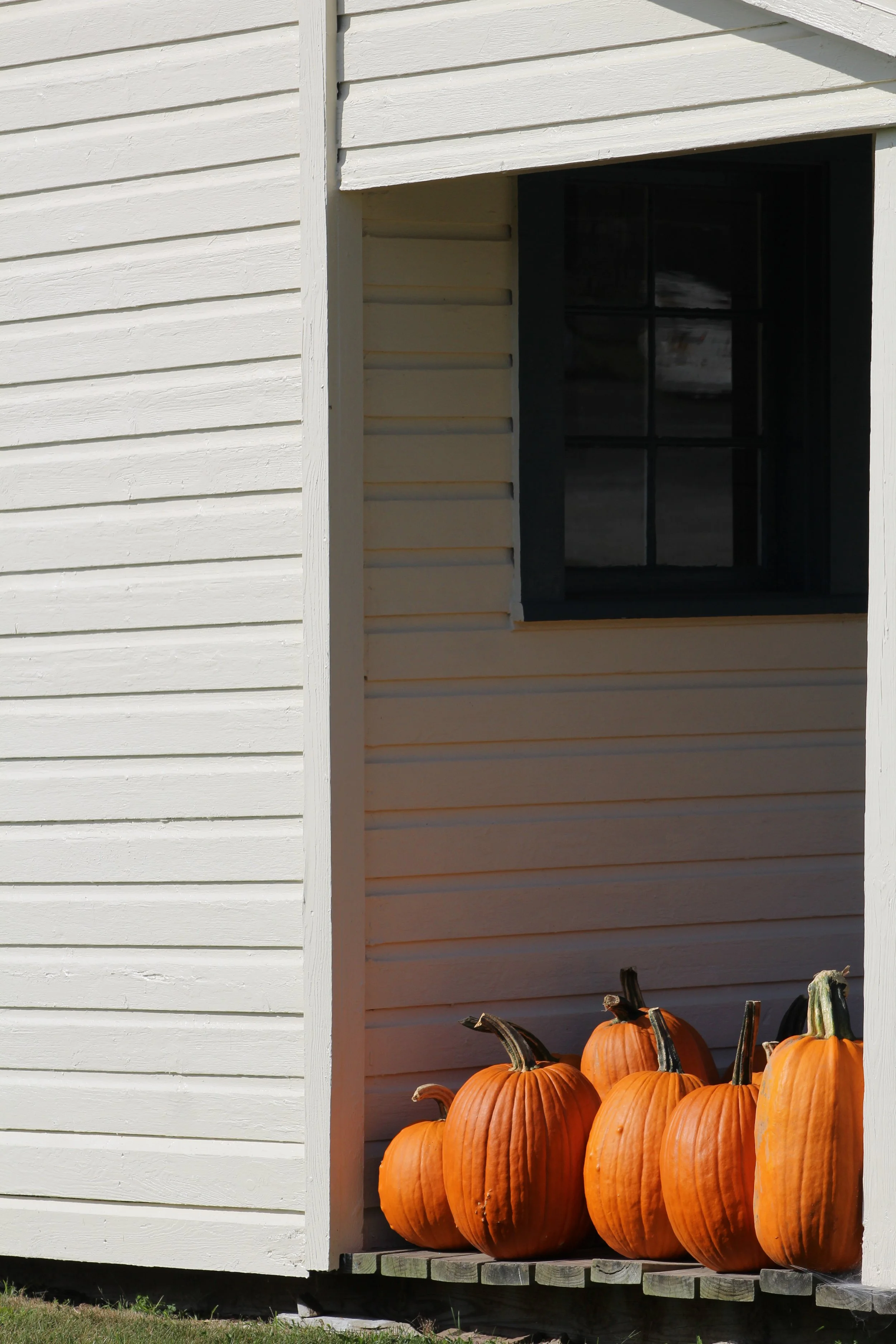 The Berry Patch     Rt 22 Stephentown, NY