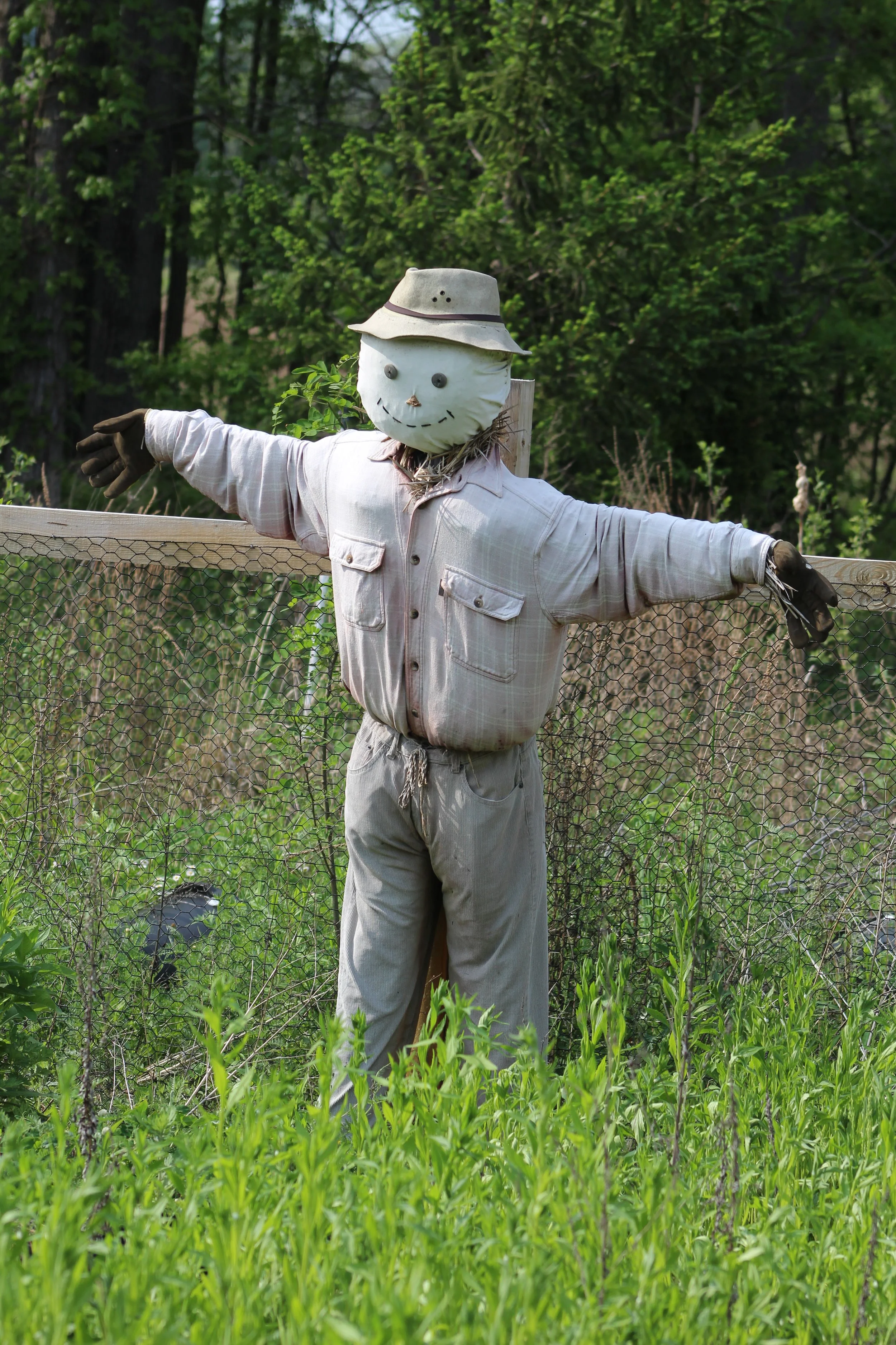 Still Standing  Rt 22 Pawling, New York