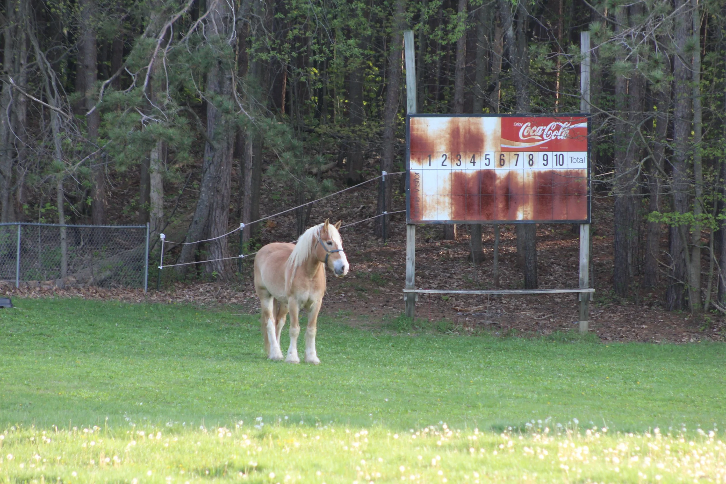 Old Ballfield       Rt 22 Canaan, NewYork