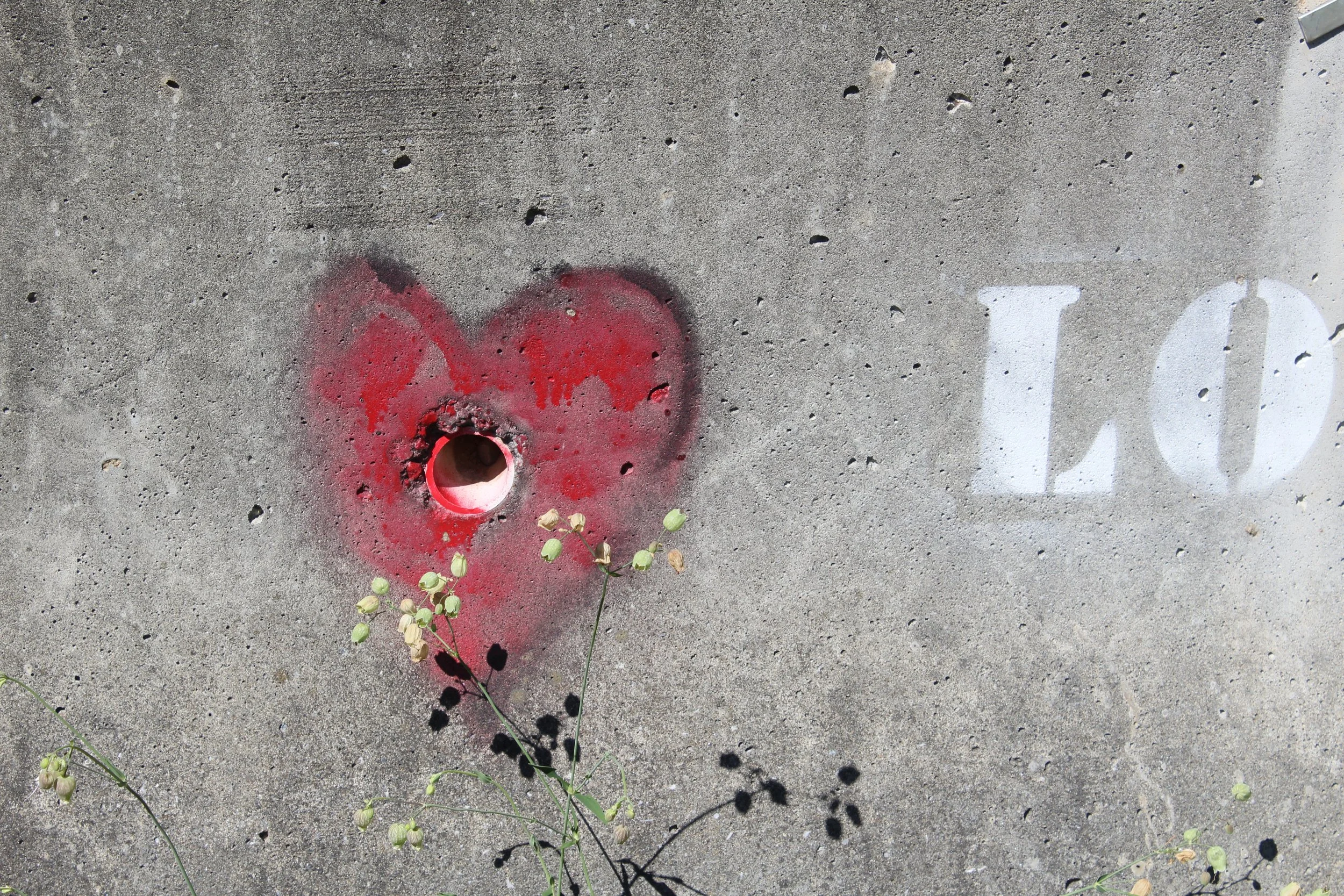 Valentine Basics      Pittsford, Vermont