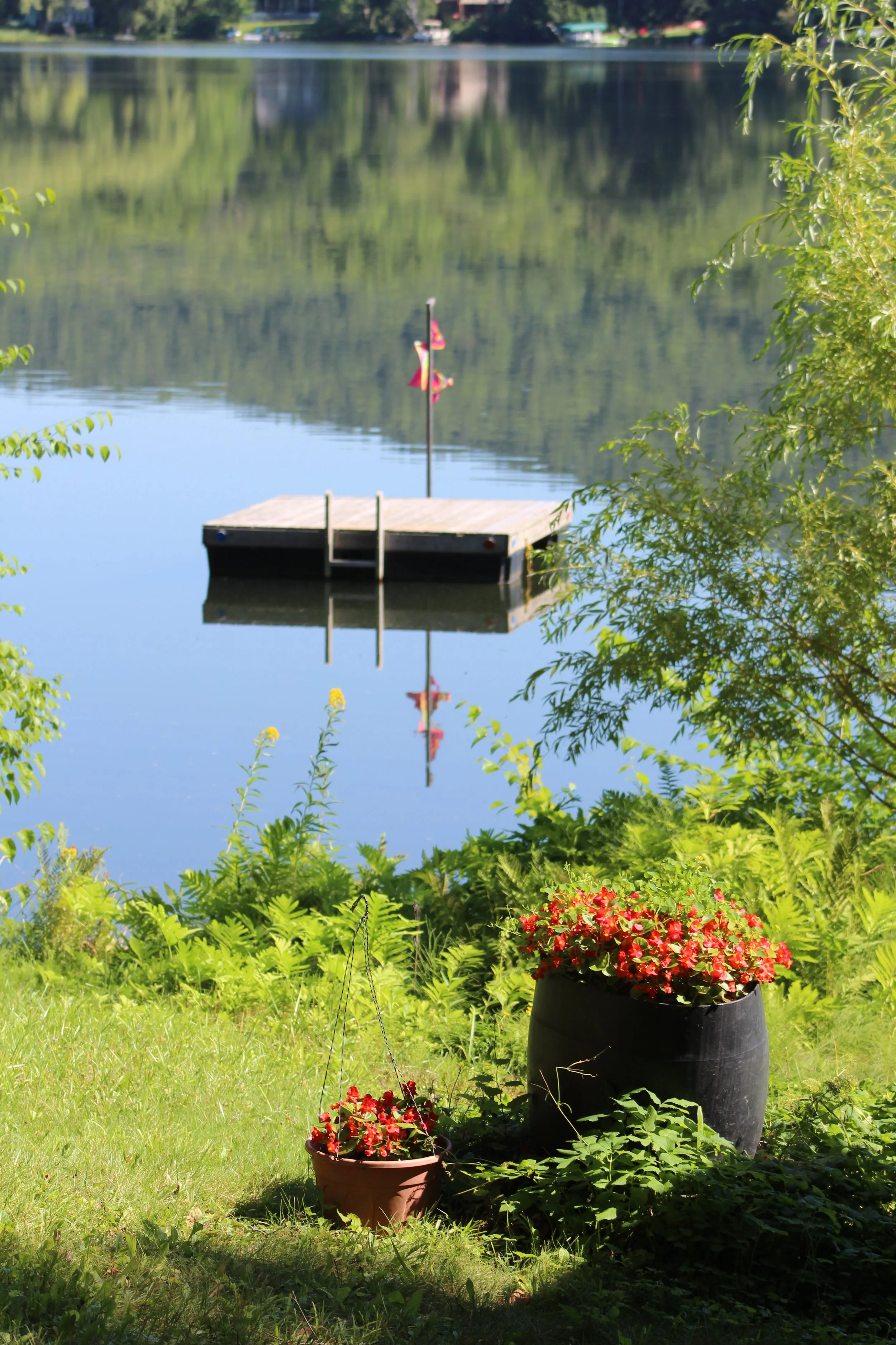 Sweet Summer       Tinmouth Pond, Vermont