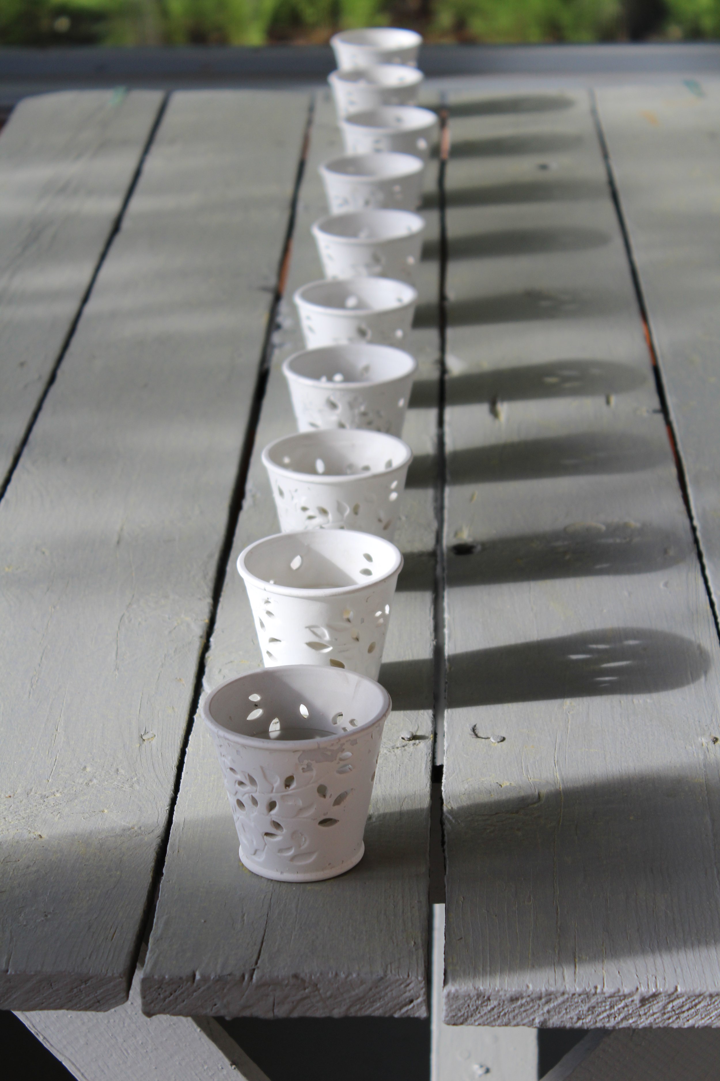 Day Lights       Tinmouth Pond Vermont