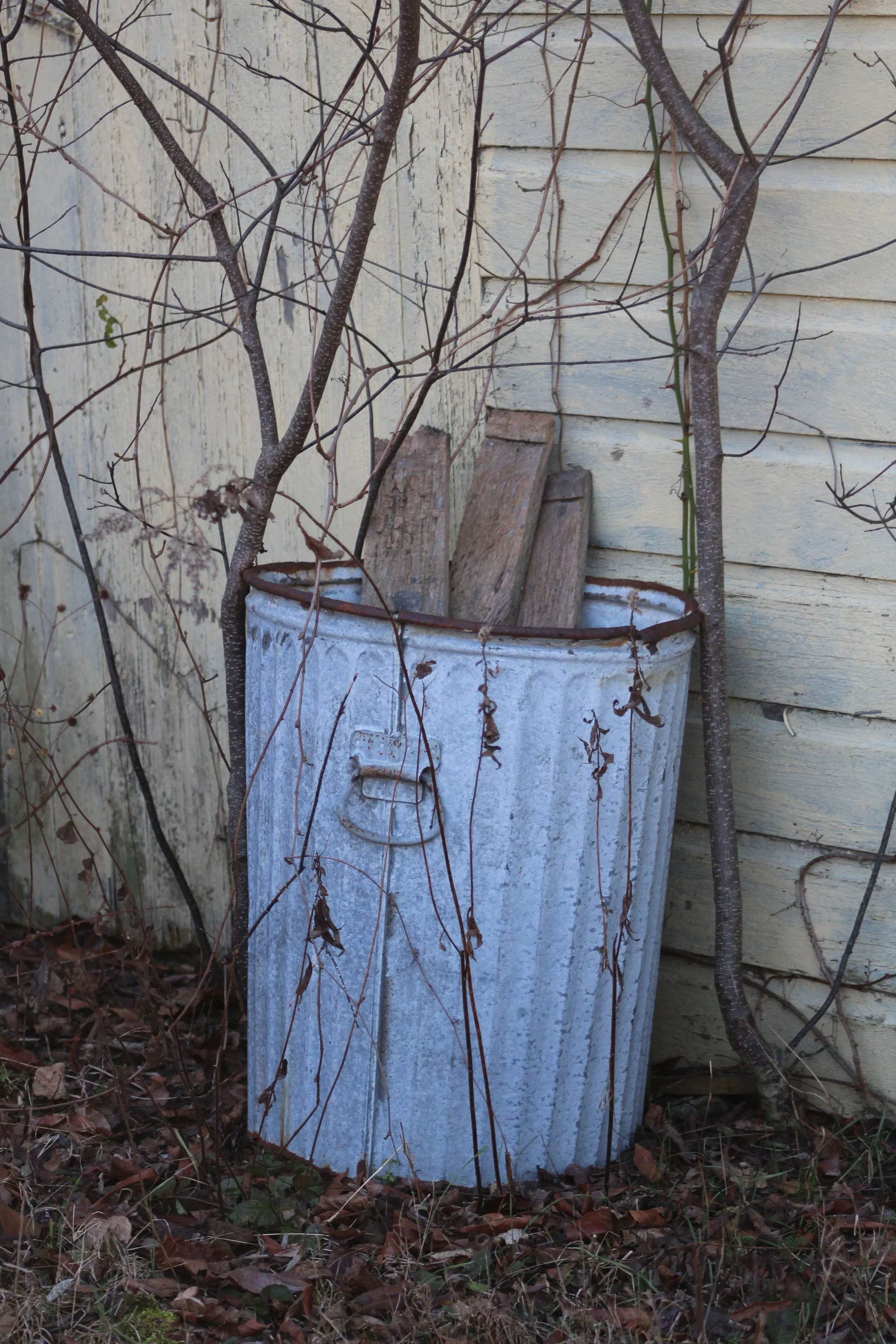 The Last Trash    Rettich Farm Madison, Conn